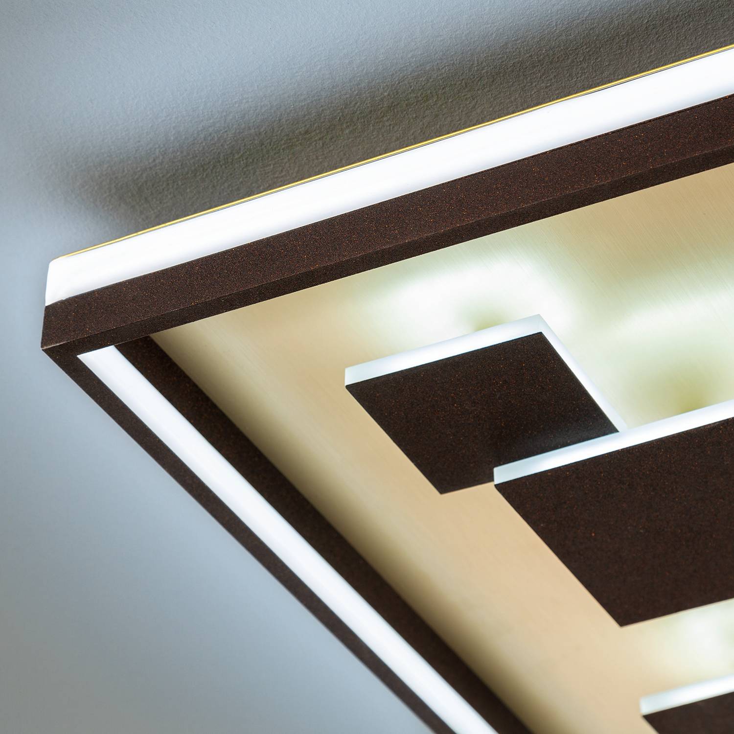 LED Ceiling Light Carina Acrylic Iron