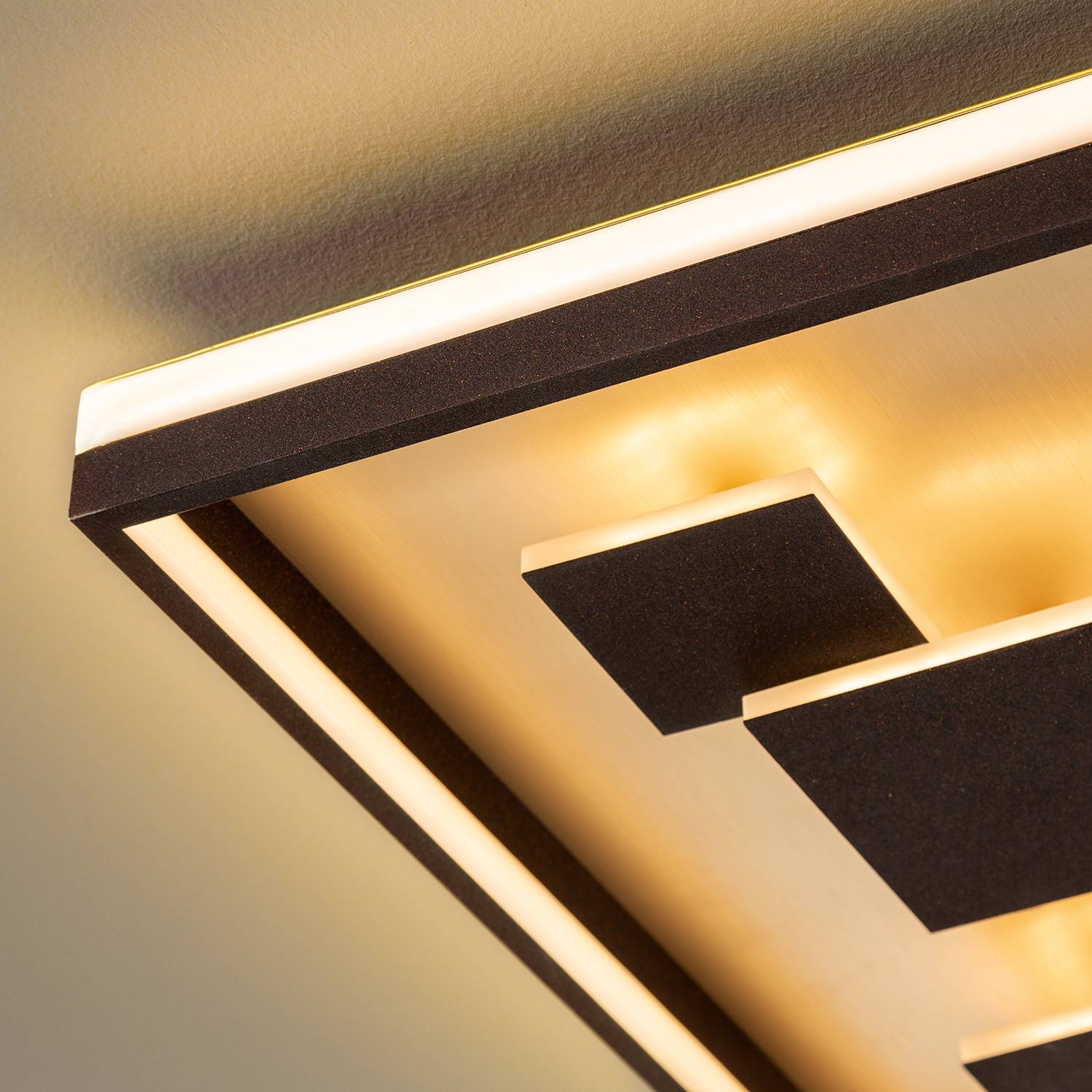 LED Ceiling Light Carina Acrylic Iron
