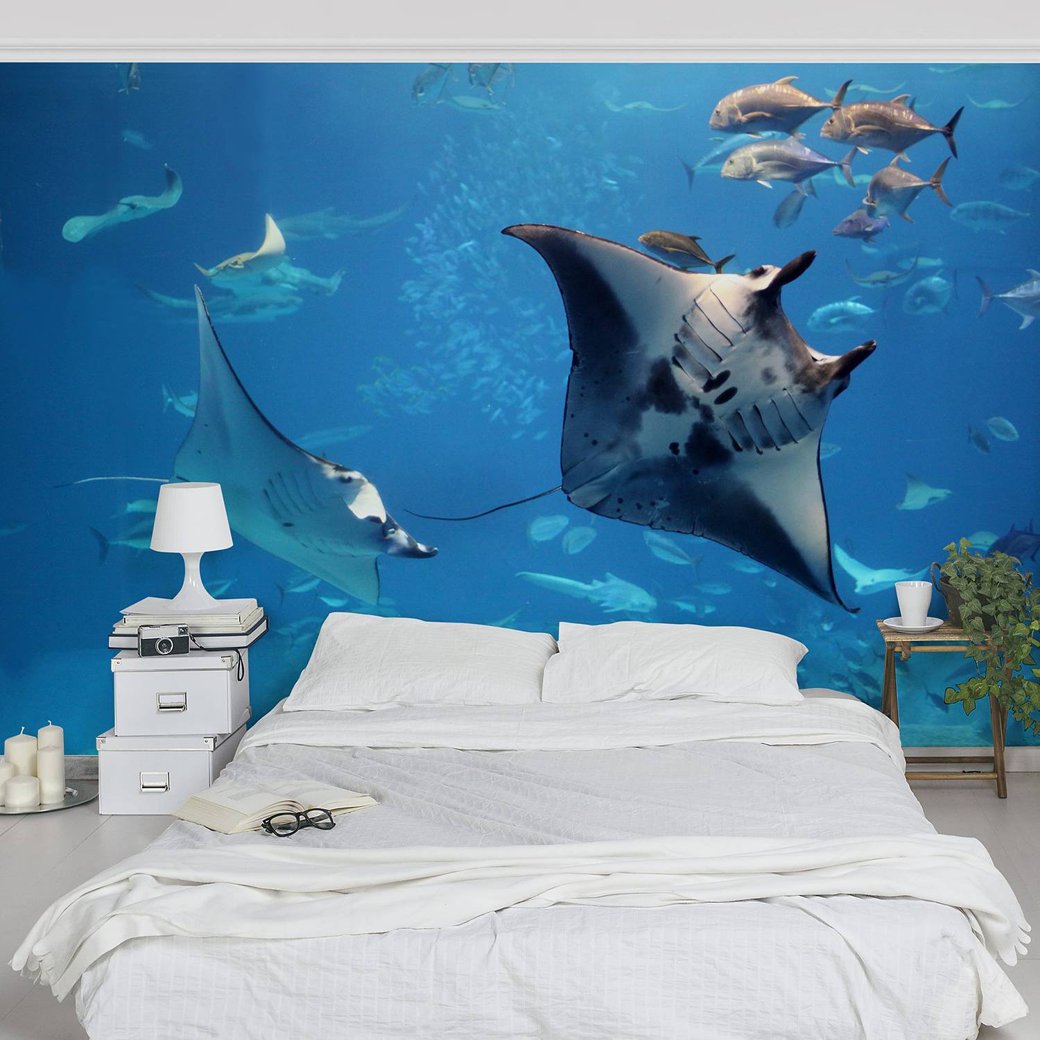 Vliestapete Manta Ray Vliespapier Blau 432 x 290 cm