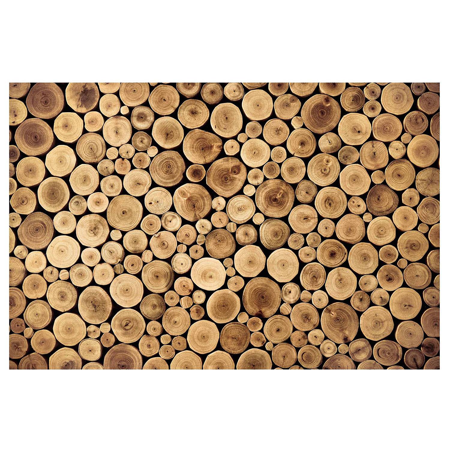Vliestapete Homey Firewood Vliespapier Braun 384 x 255 cm