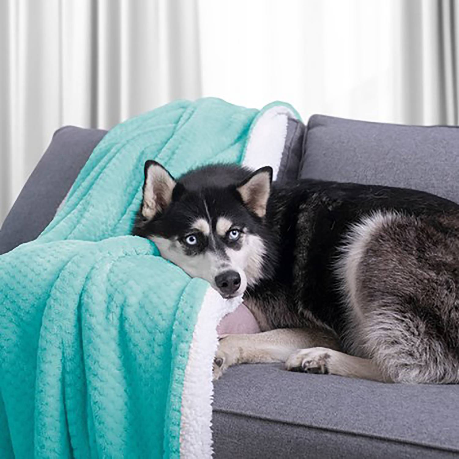 Leepy Cozy Blanket Polyester Turquoise 130 x 180 cm