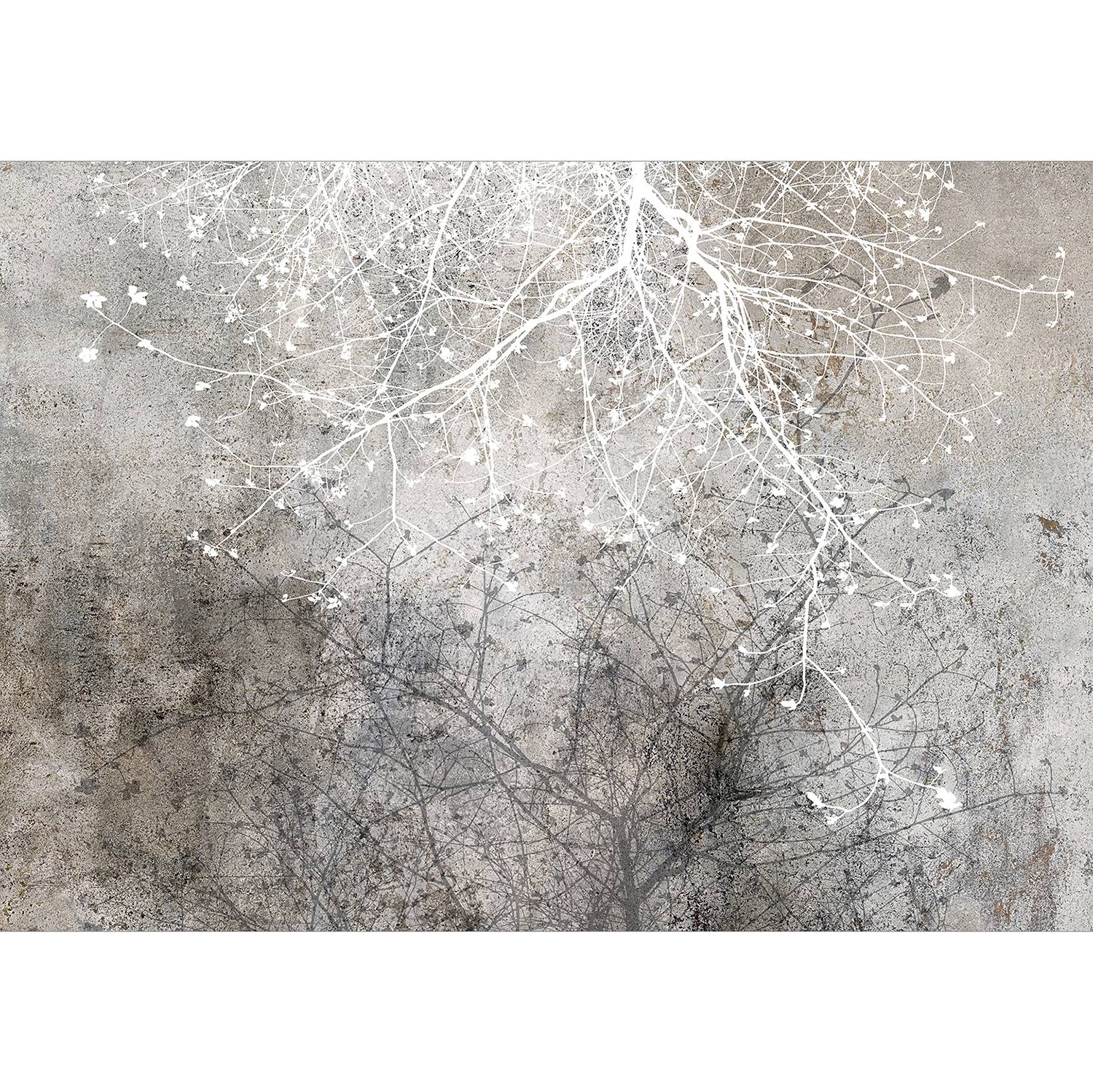 Fototapete Clear Branching Vlies Schwarz-Weiß 450 x 315 cm