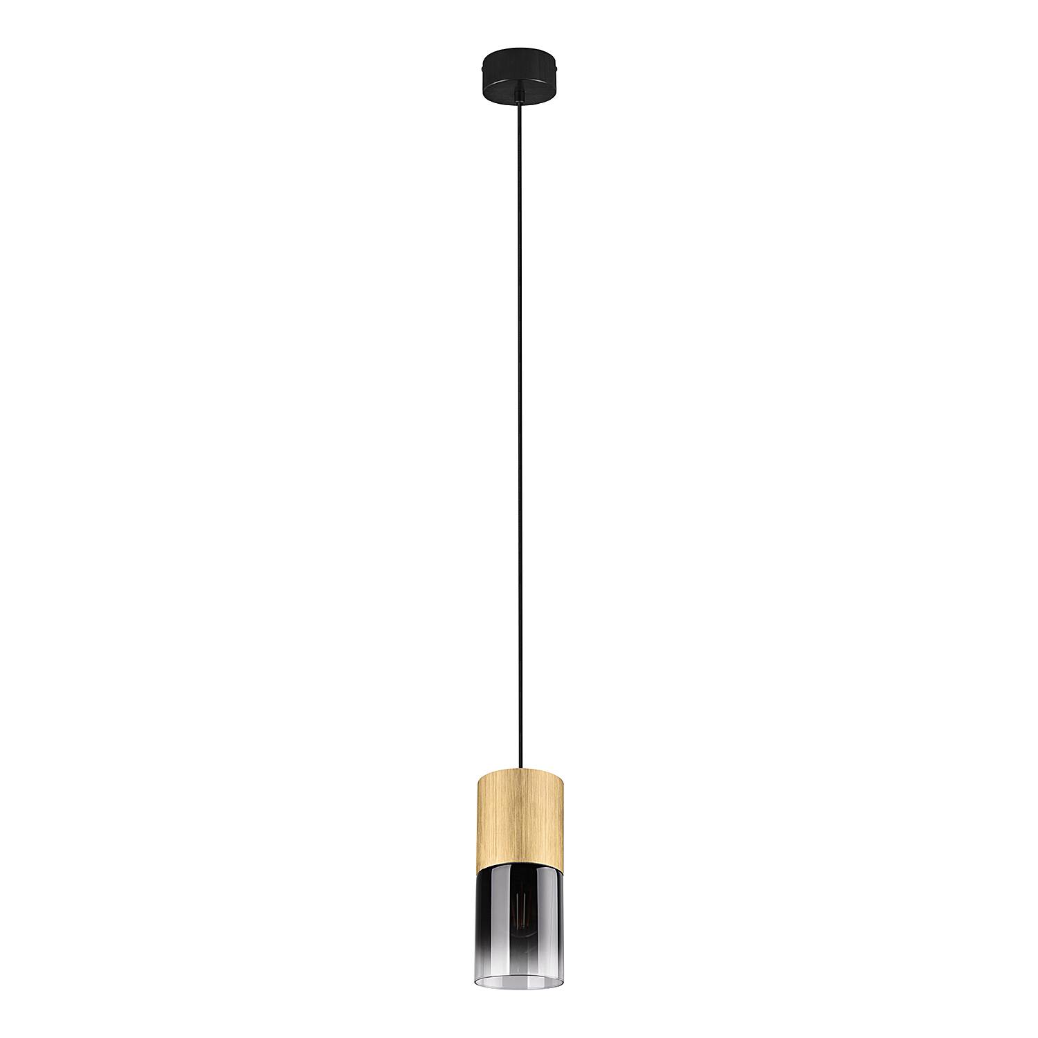 Robin Type A Pendant Lamp Smoked Glass Steel Single-flame