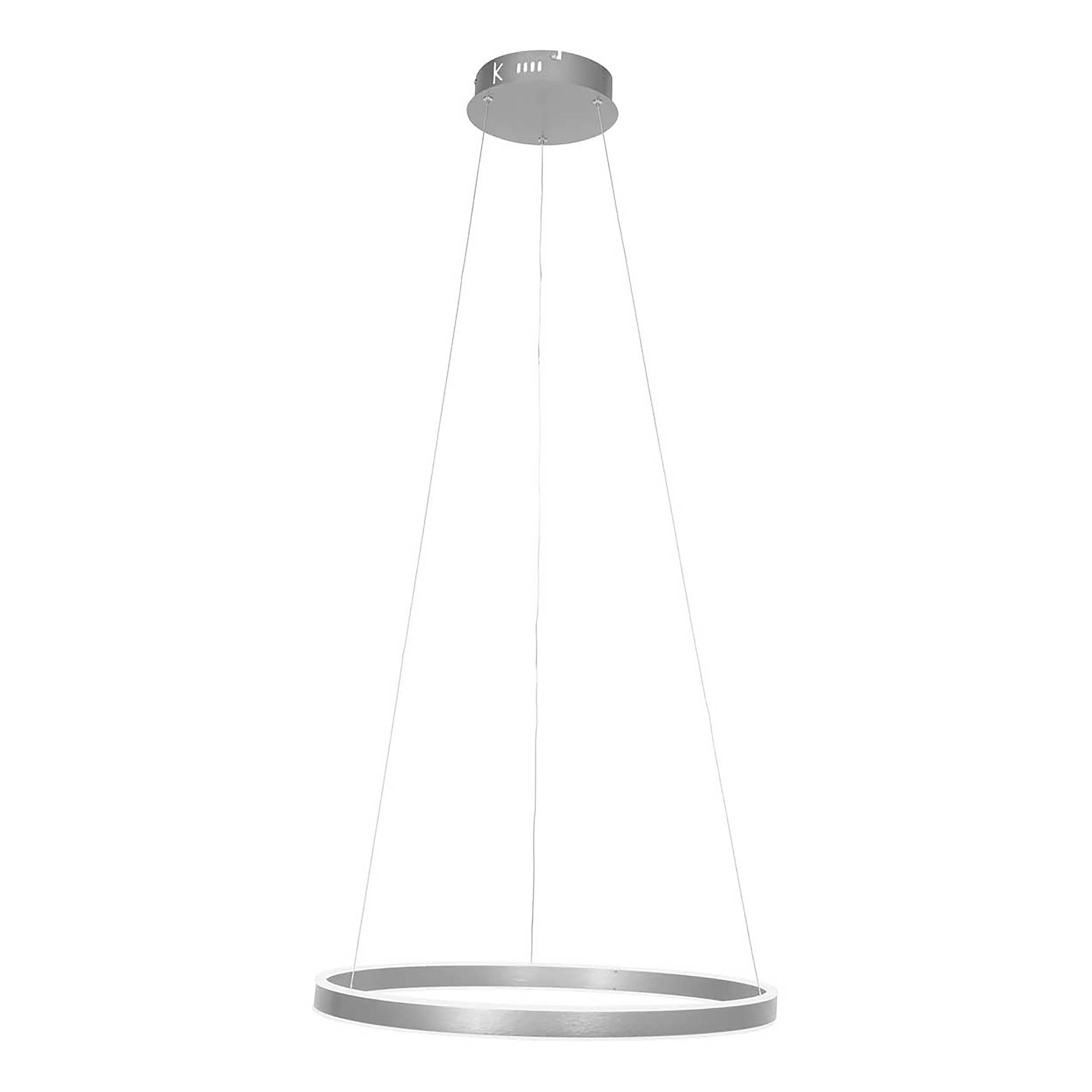Pendant lamp Ringlux Type A Aluminum Silver
