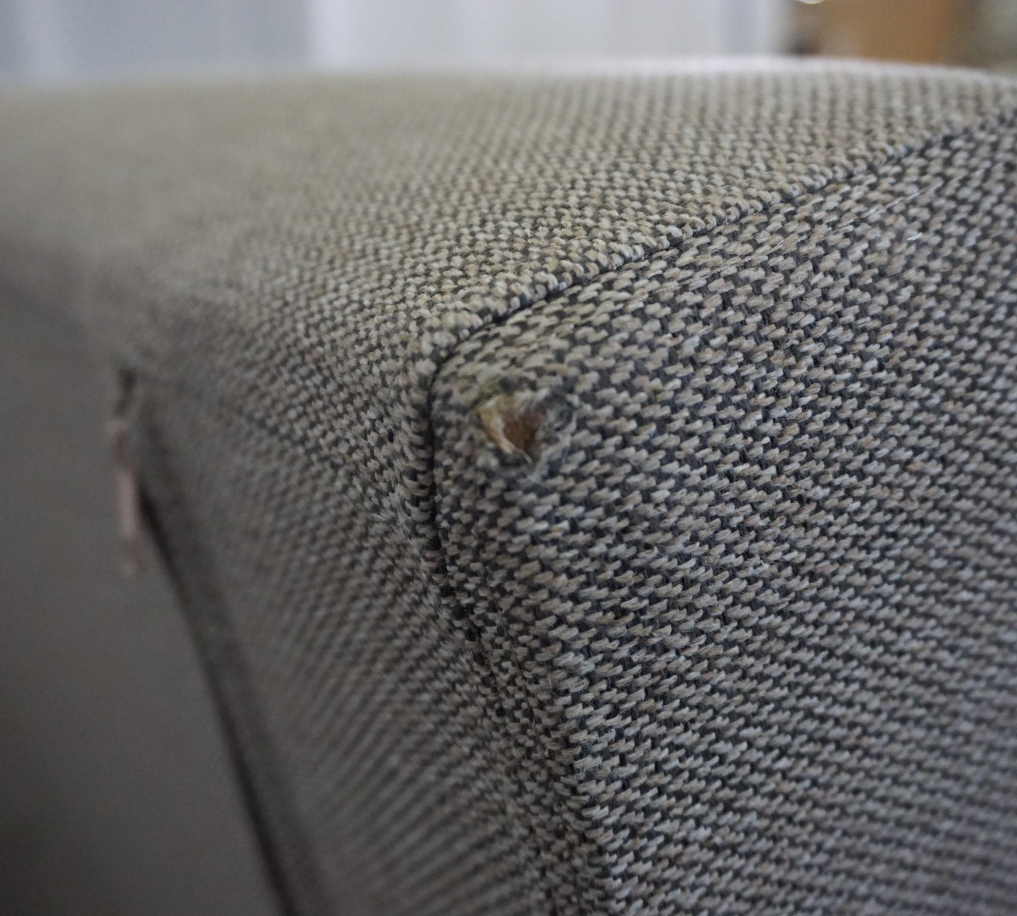 Anton Sofa bed Agnes Brown