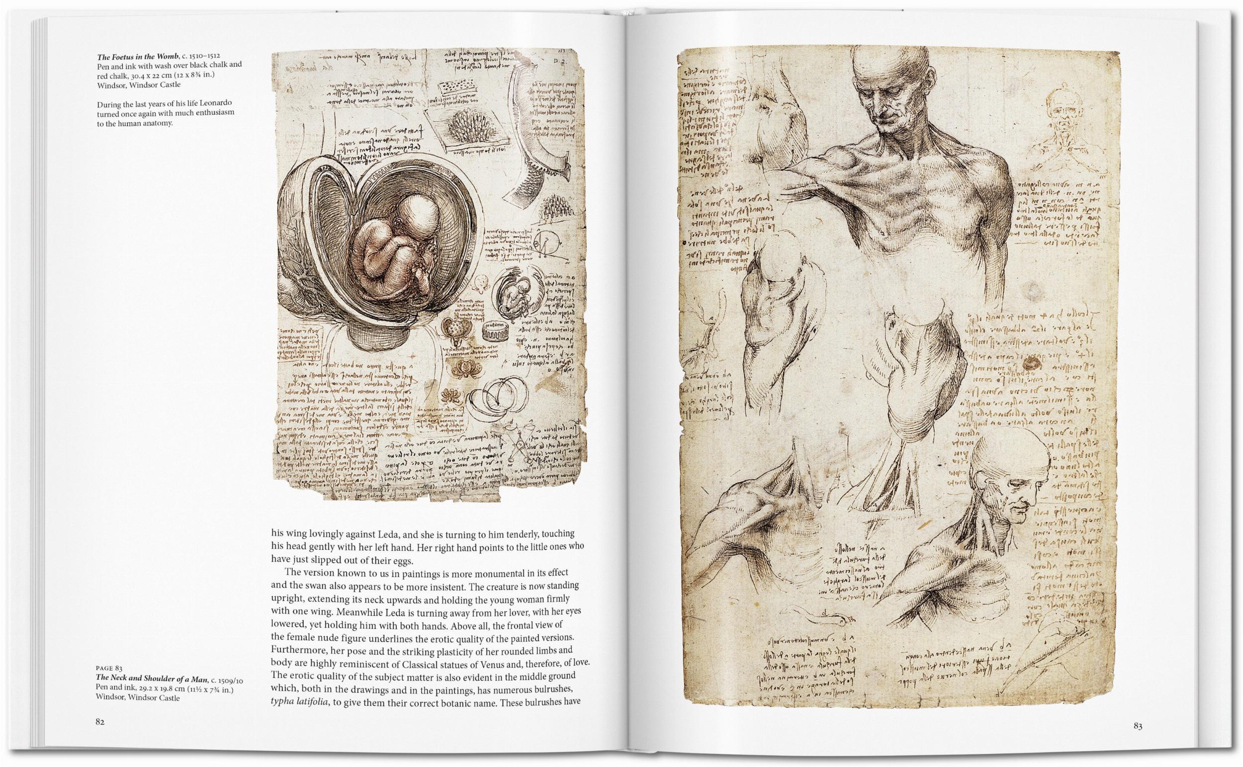 Leonardo Book