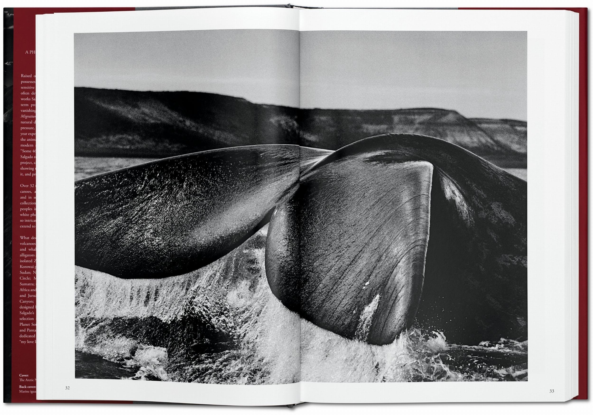 Sebastião Salgado. Genesi