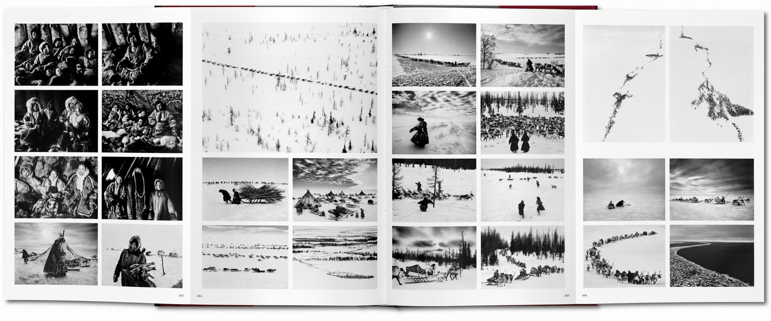 Sebastião Salgado. Genesis