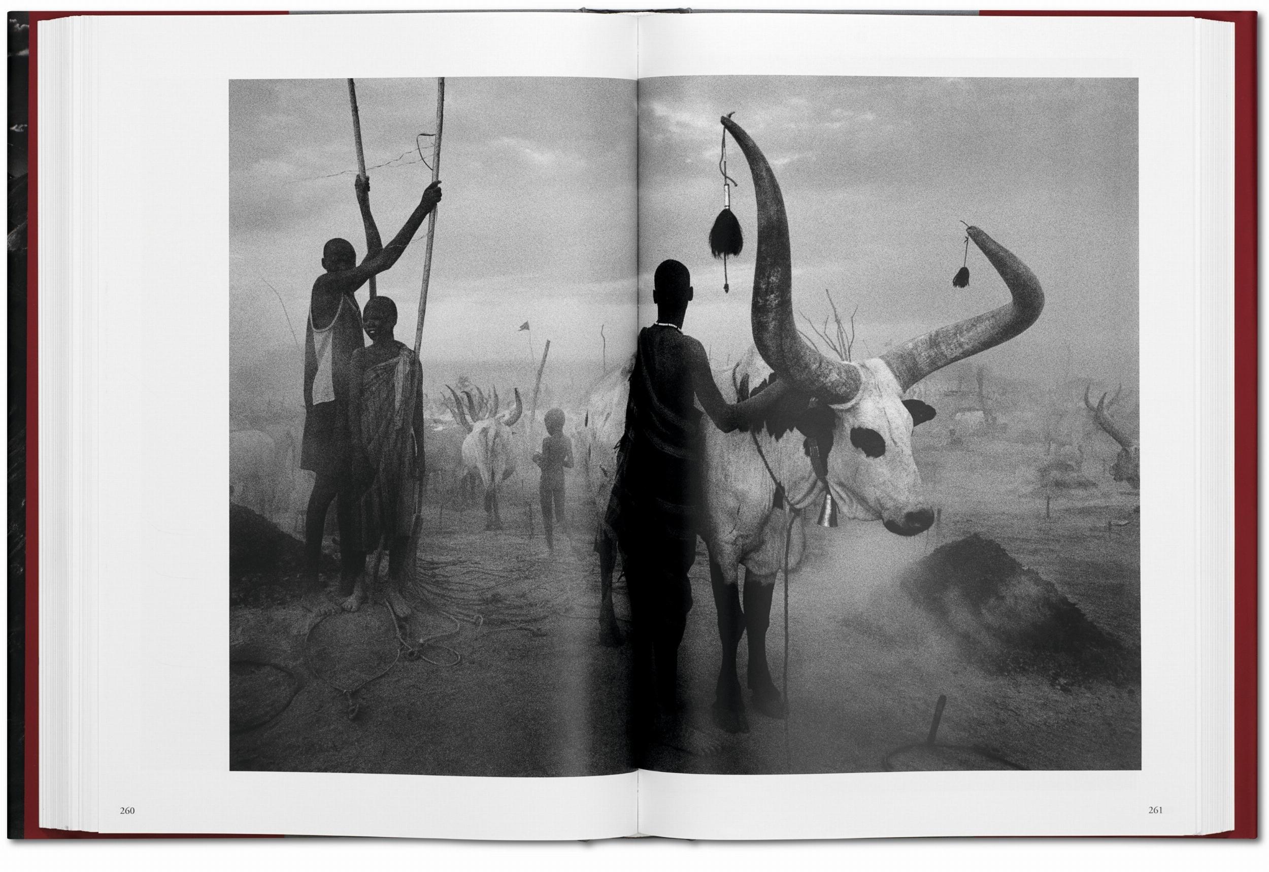 Sebastião Salgado. Genesi
