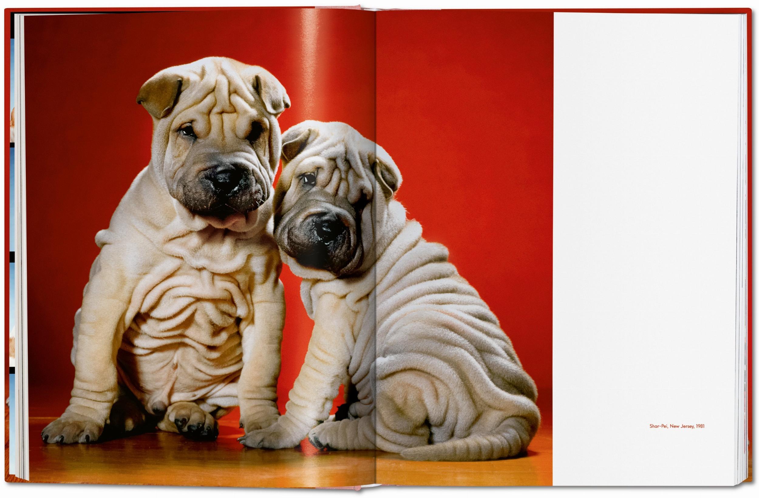 Walter Chandoha. Dogs. Photographs 1941–1991