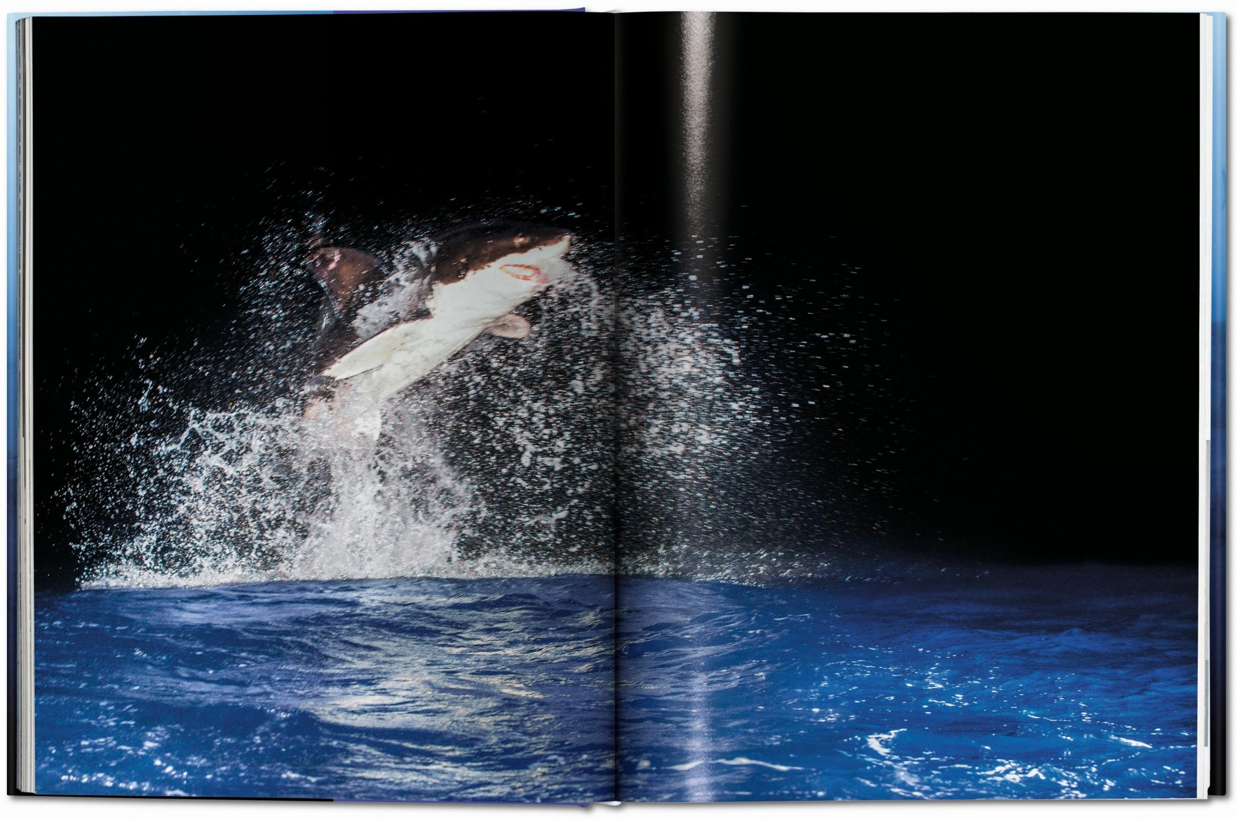 Michael Muller. Sharks