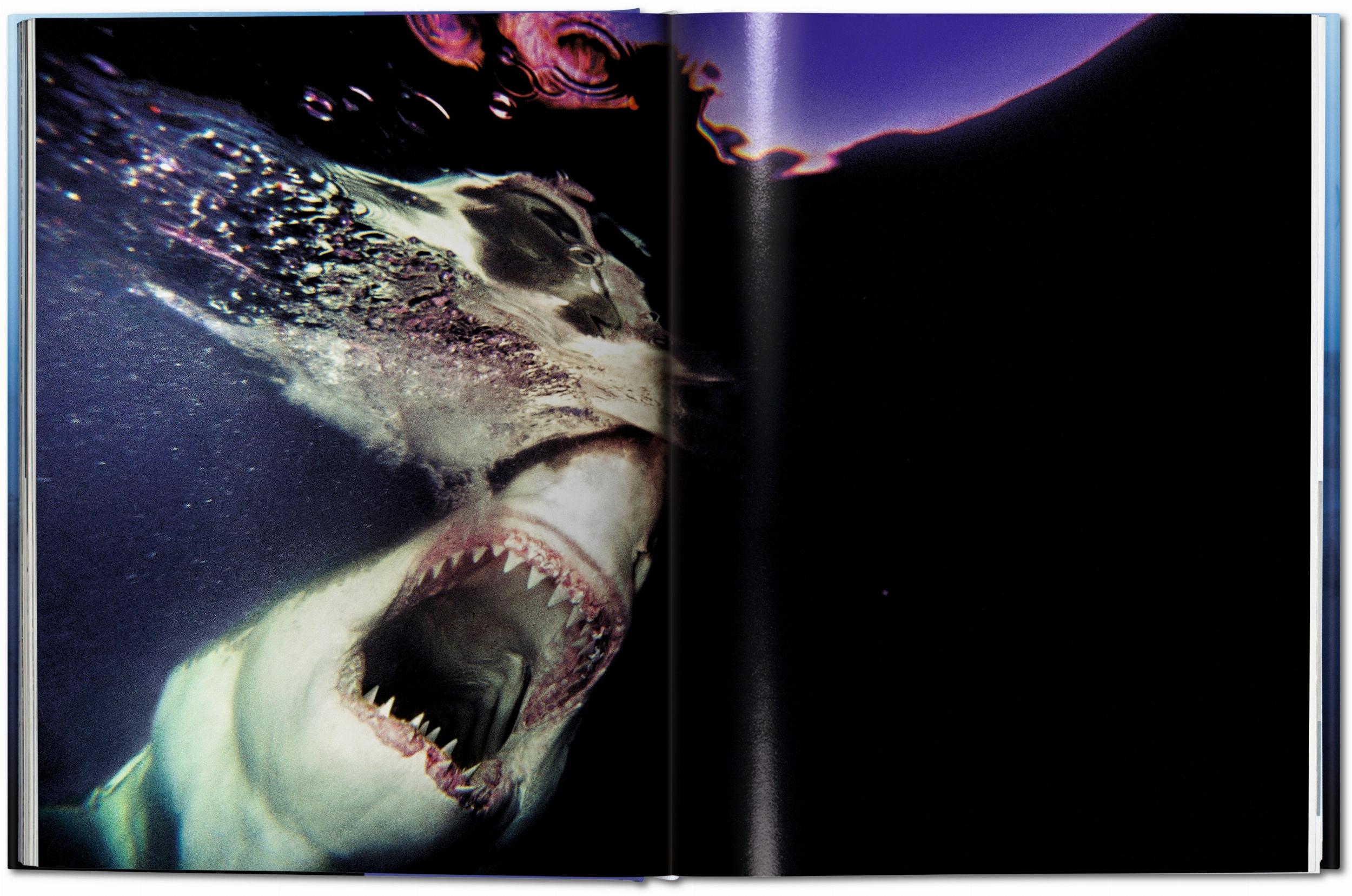 Michael Muller. Sharks