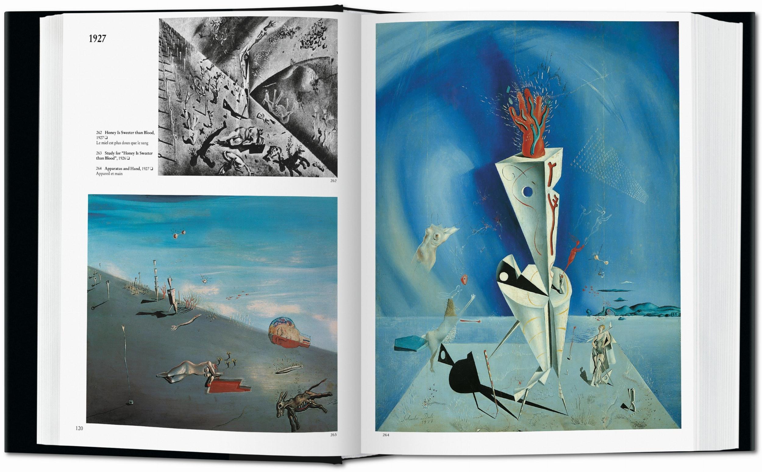 Dalí. The Paings