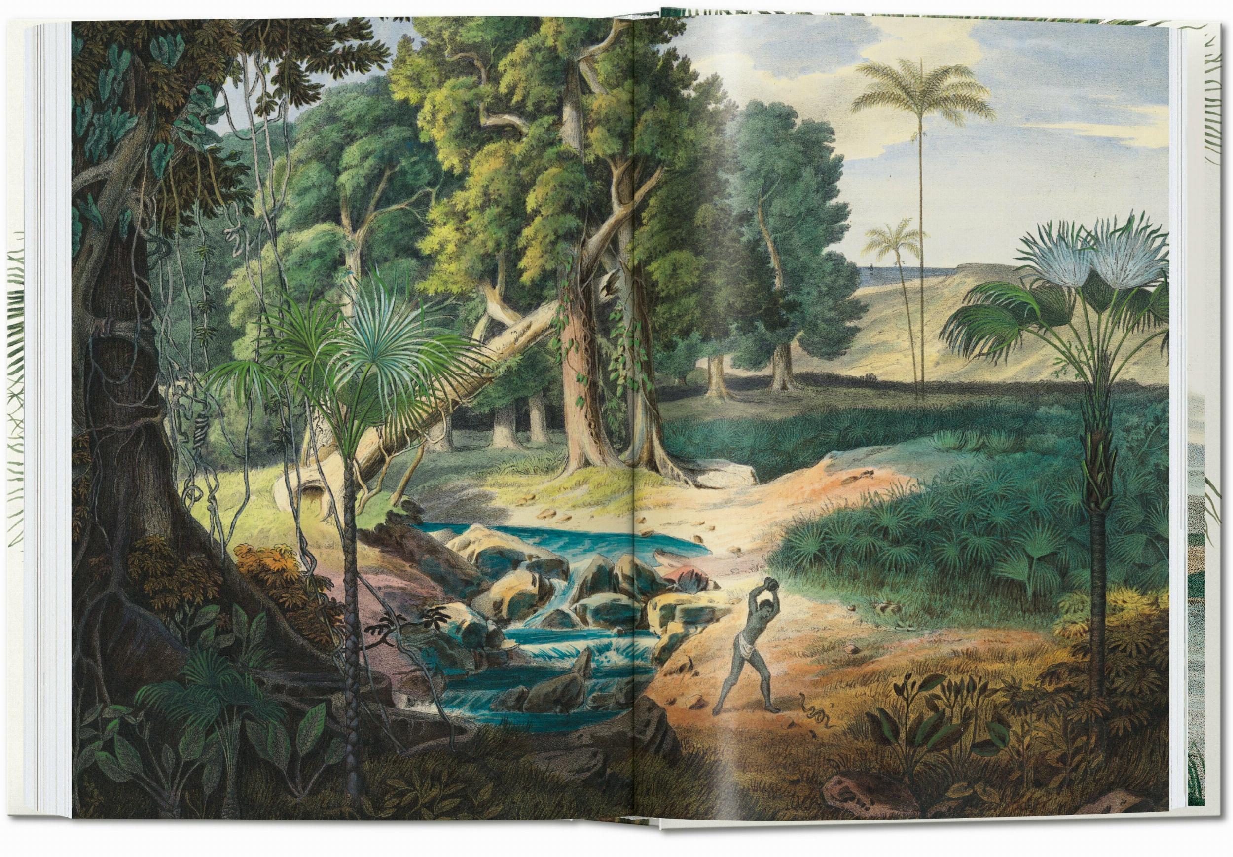 Martius. The Book of Palms. 45th Ed.
