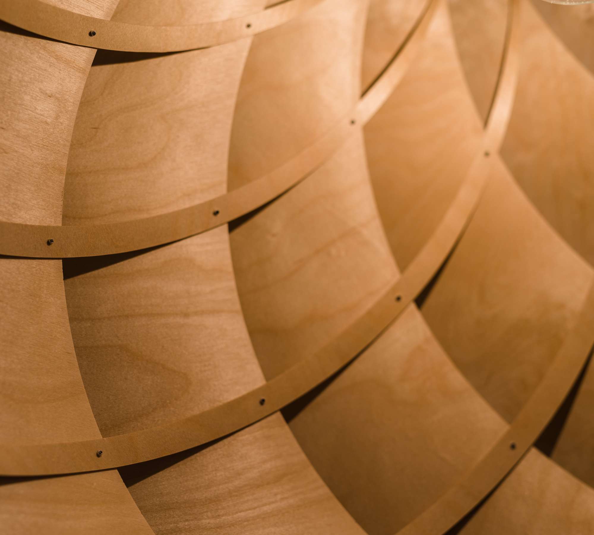 NAUTILUS Pendant Lamp Wood Natural