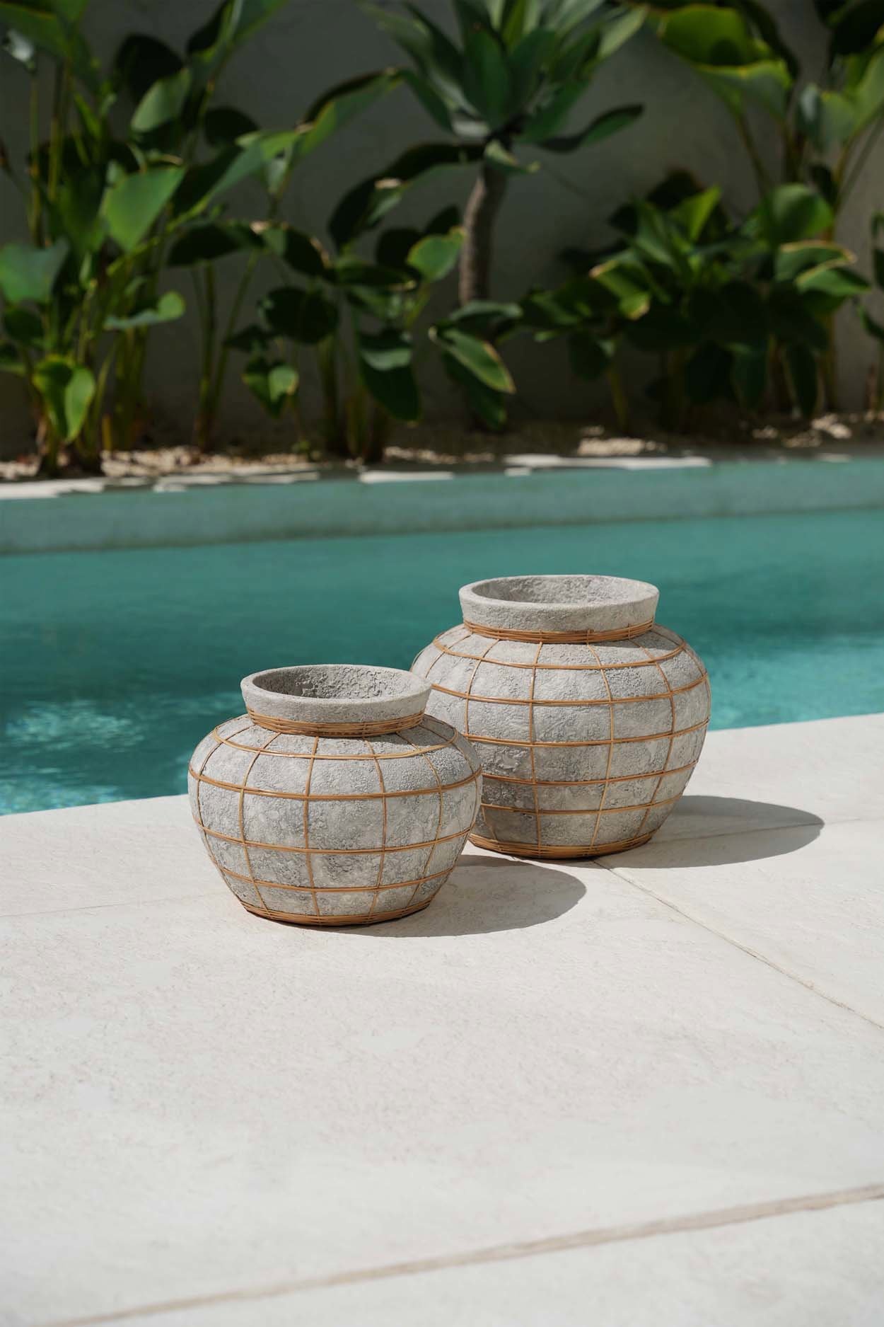 Belly Vase Concrete Nature