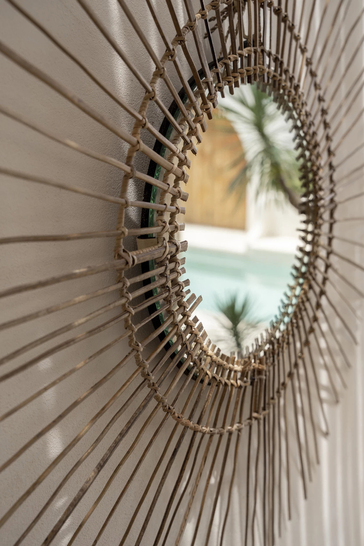 Tropical Mirror Brown