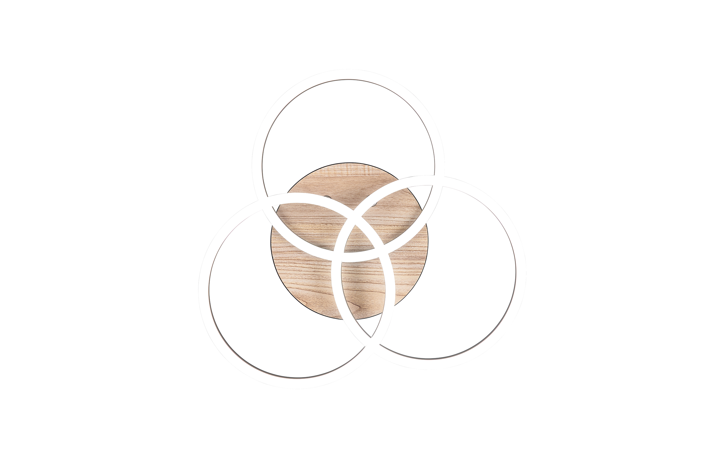 Circle LED Ceiling Light Iron Single-flame