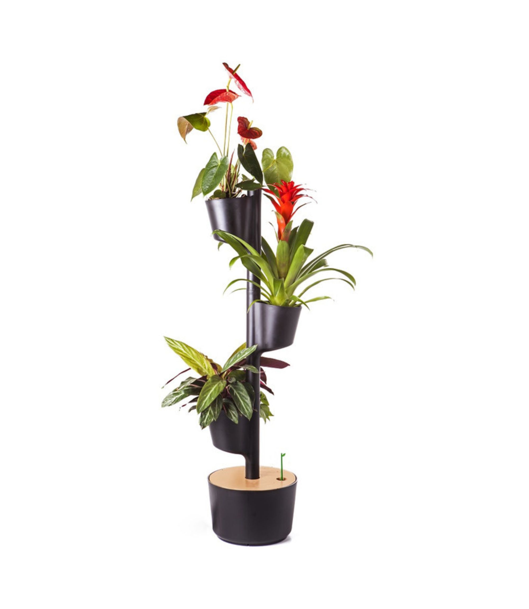 Design Award: Pine Wood Black Planting System