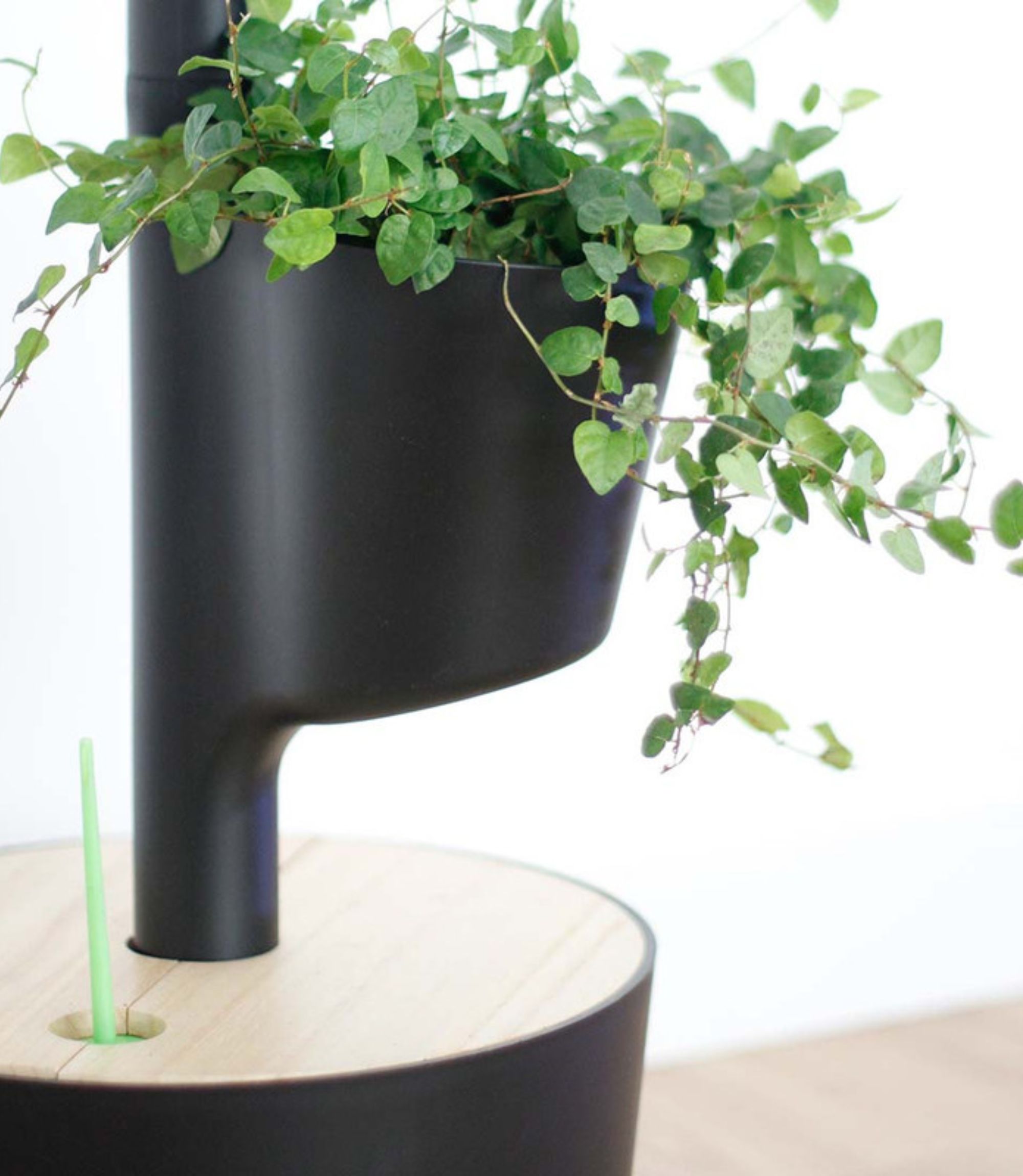 Design Award: Pine Wood Black Planting System