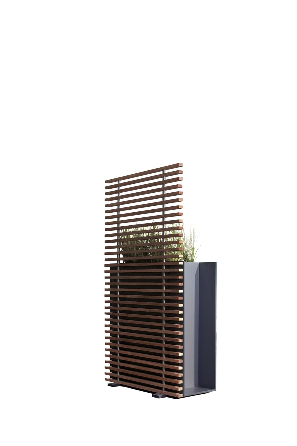 SOTOMON Trellis Brown
