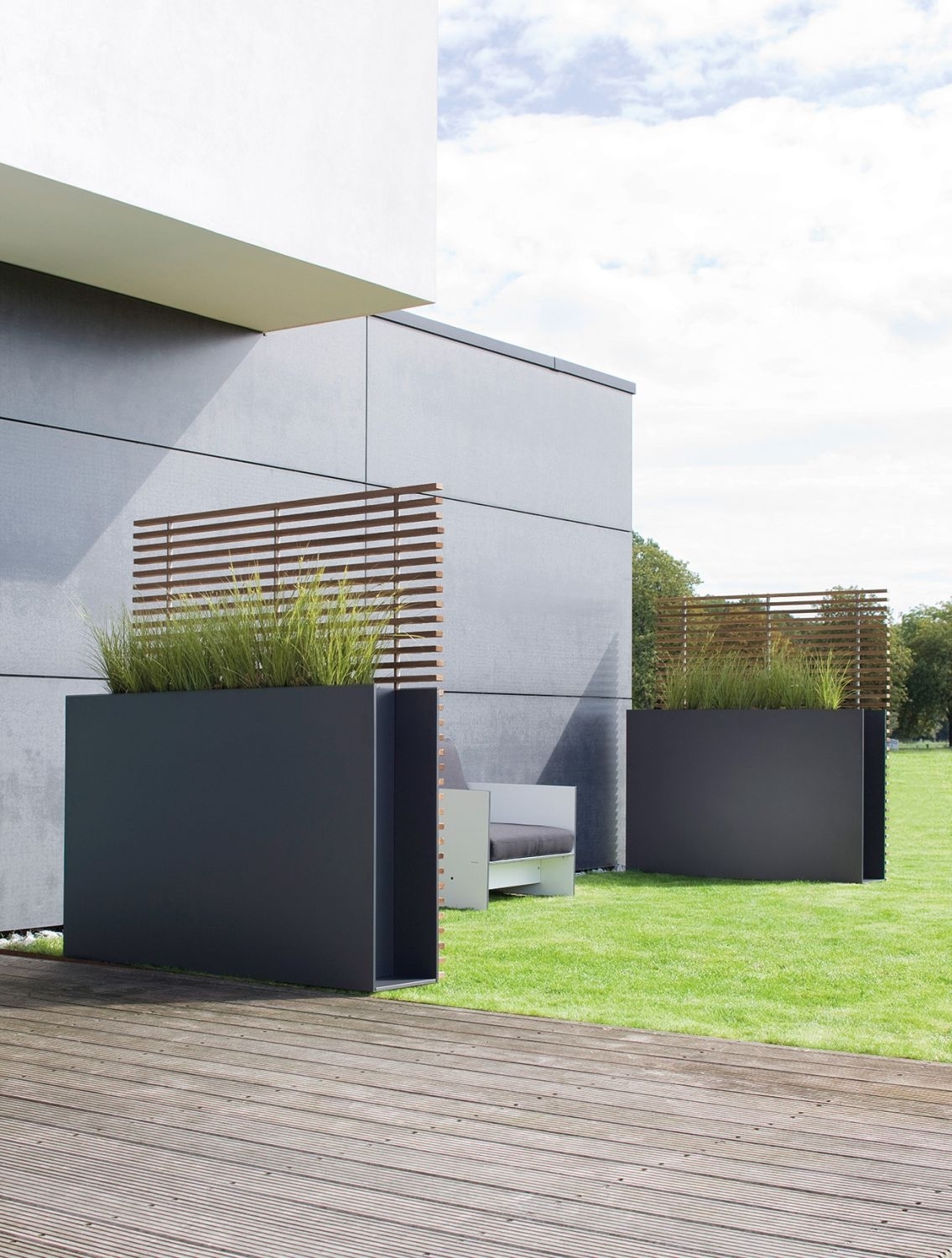 SOTOMON Trellis Brown