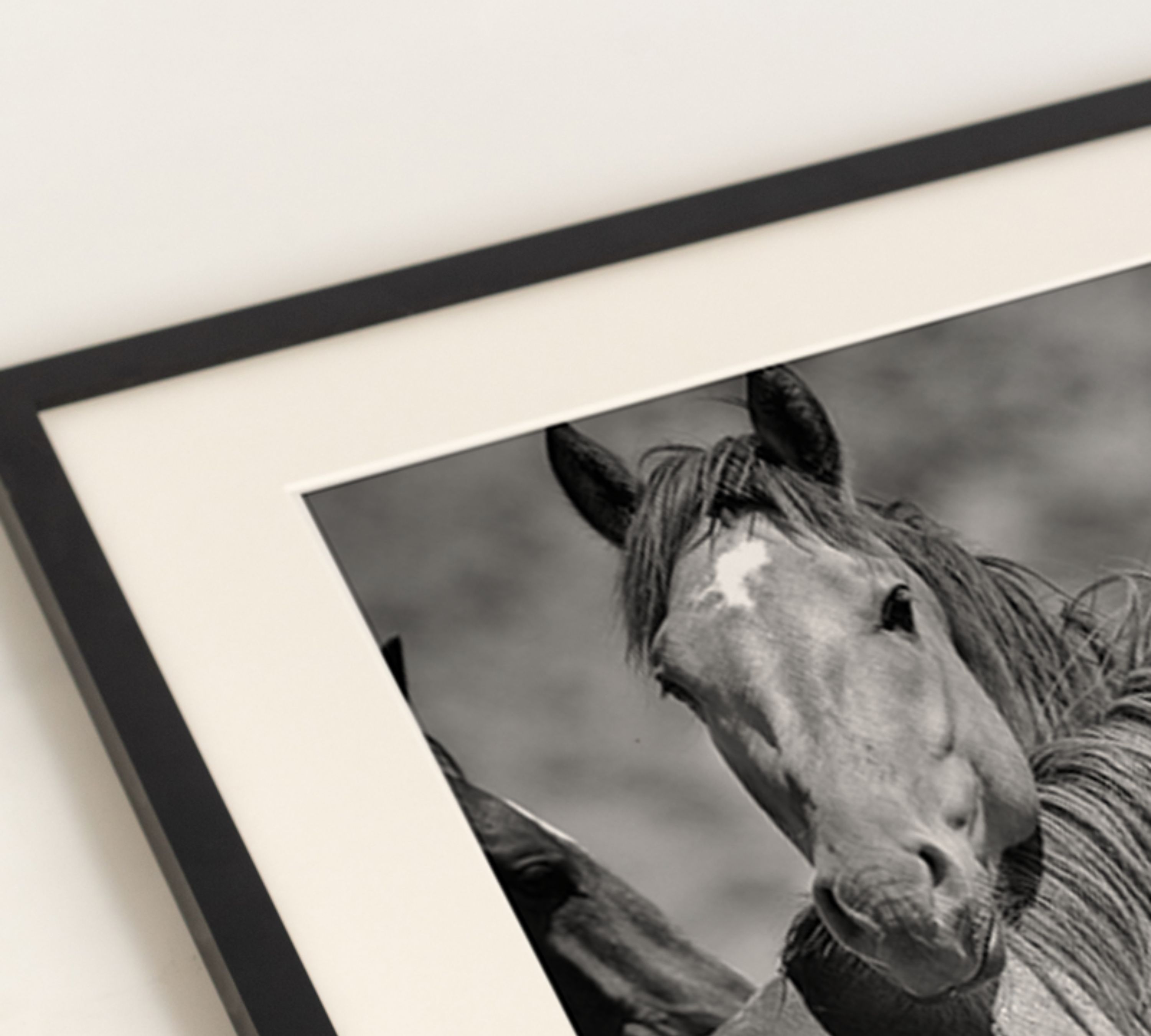 Wild Horses Art Print with Frame Black and White