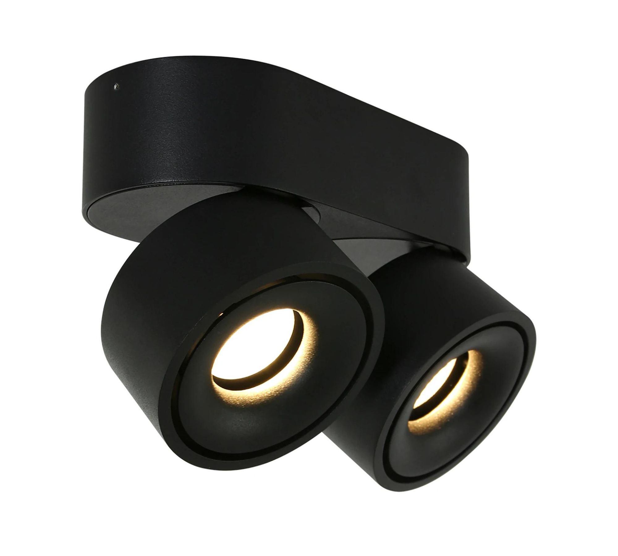 LED Deckenleuchte 2-flammig Eisen Schwarz