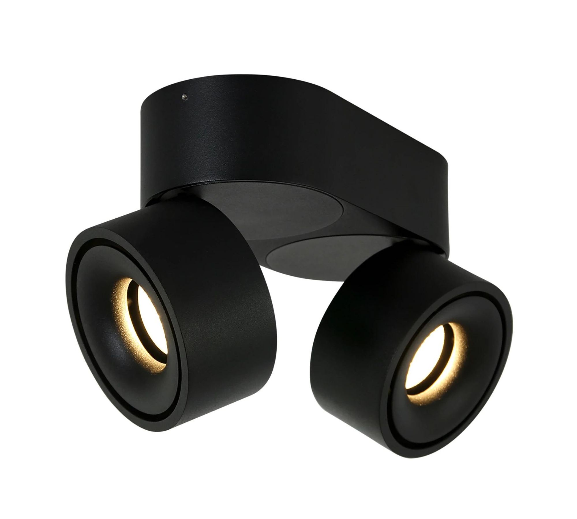 LED Deckenleuchte 2-flammig Eisen Schwarz
