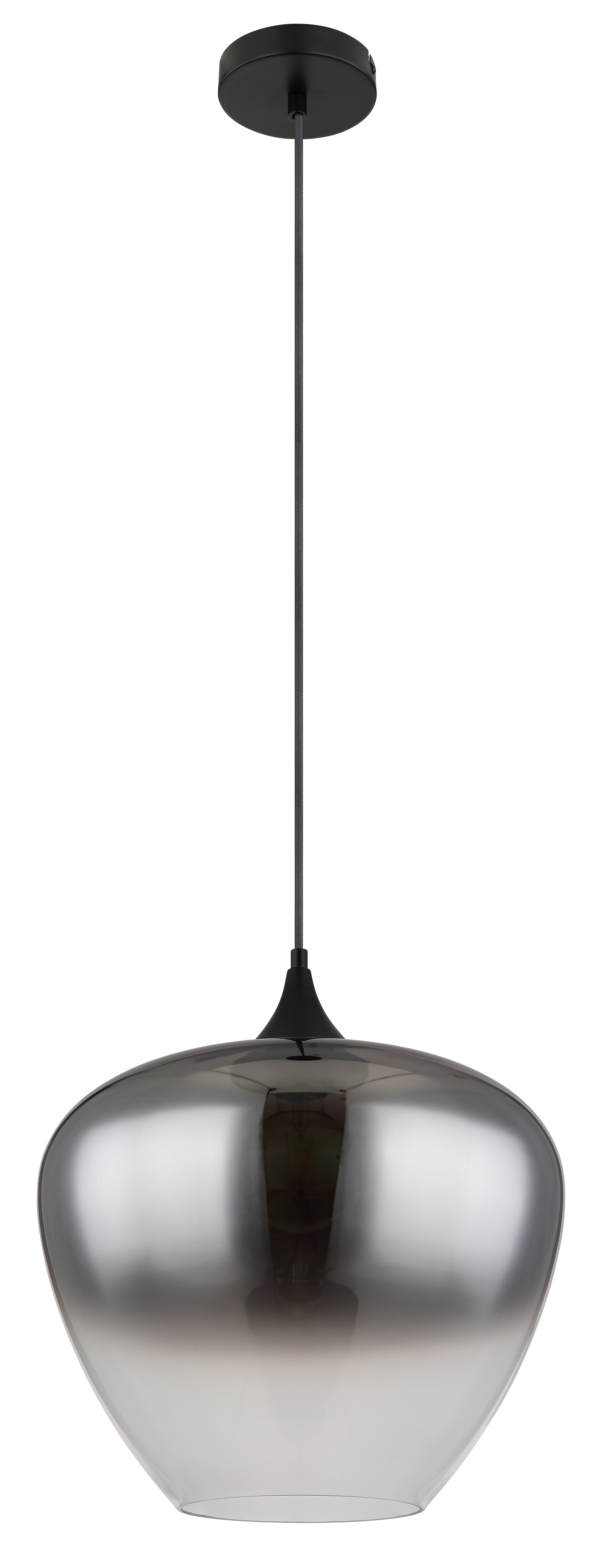 1-Light Maxy Type Pendant Light Smoked Glass Iron