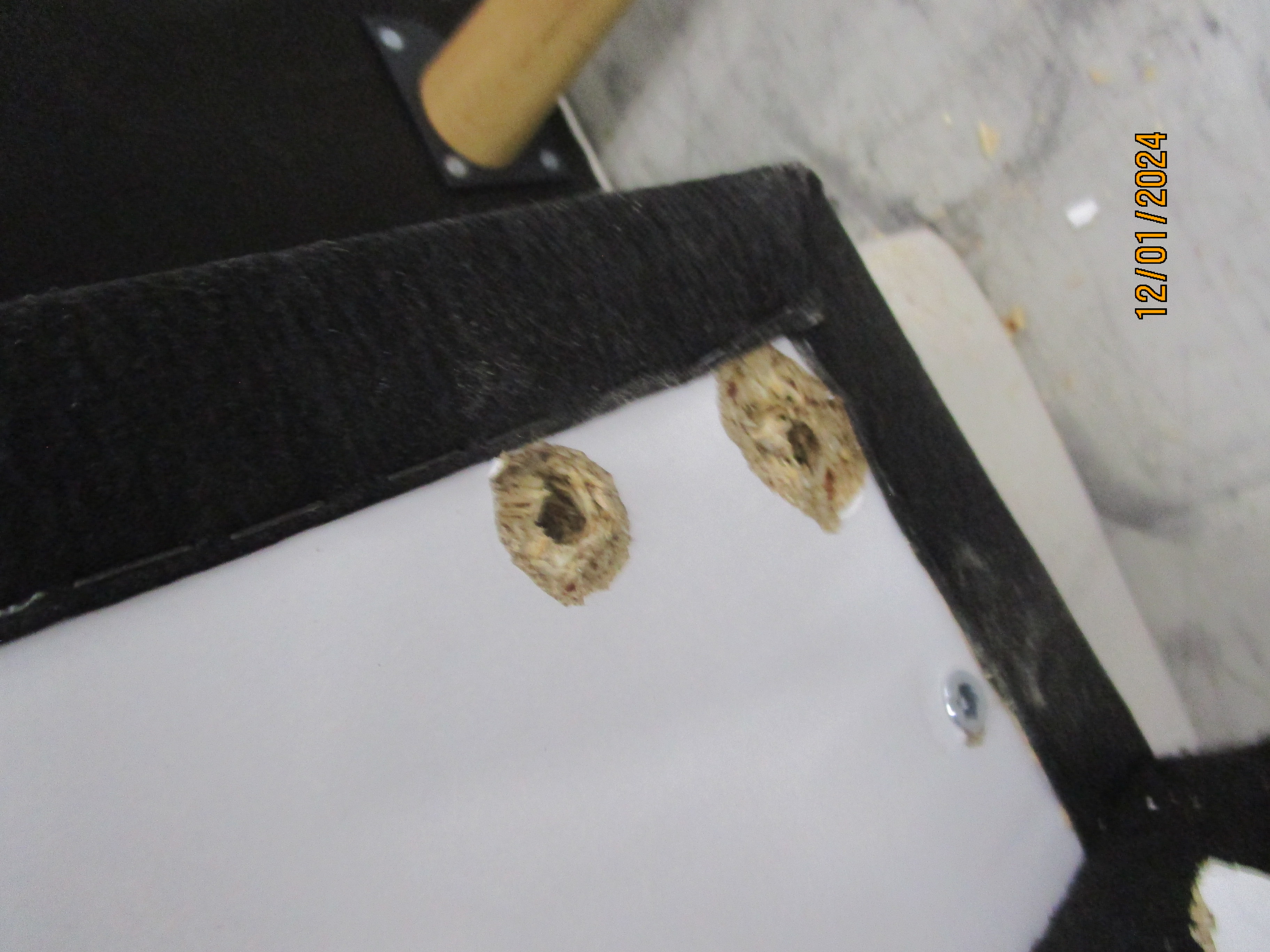 Tyme Schlafsofa Récamiere Links Vegane Wolle Cremebeige