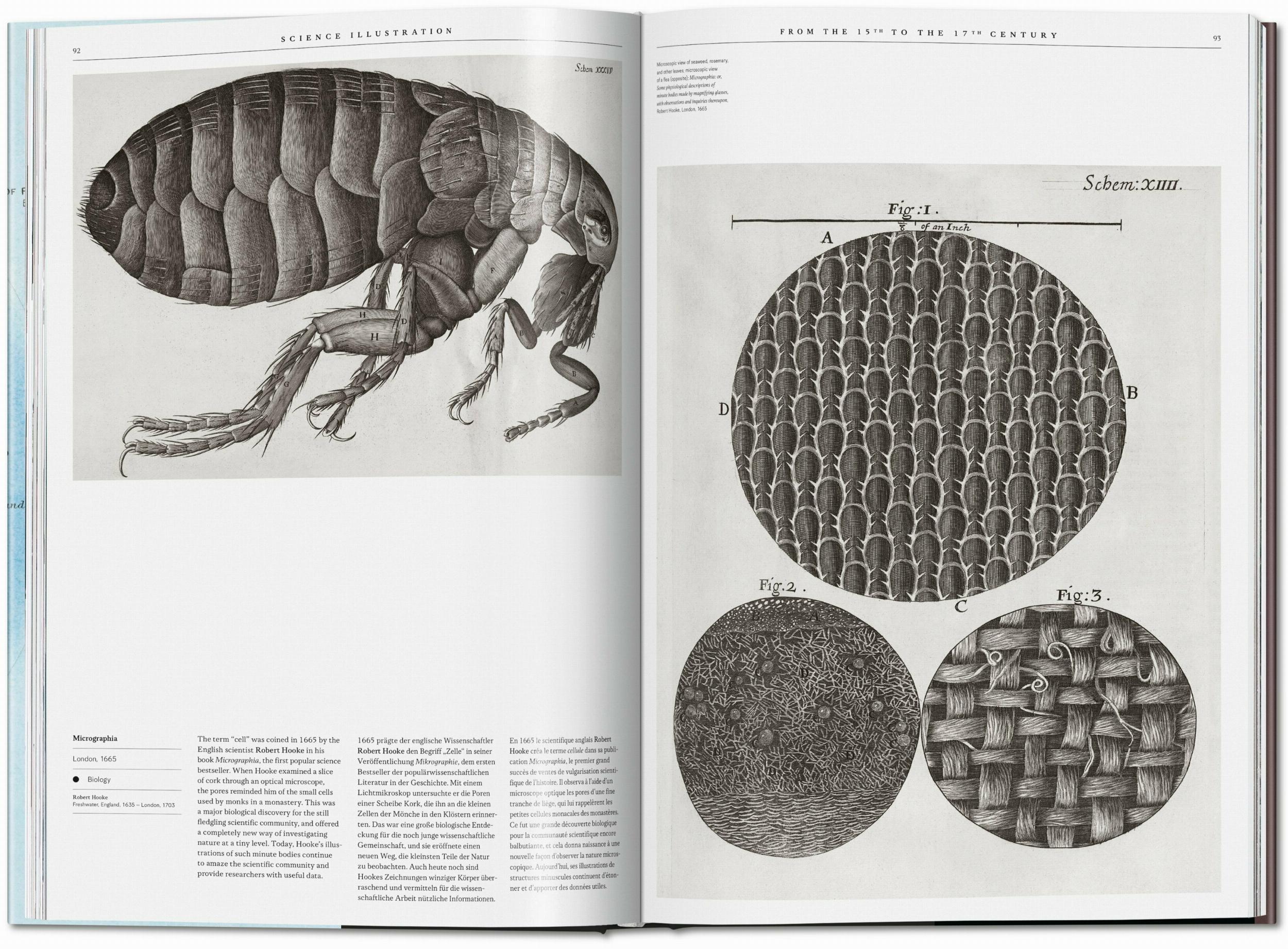 A History of Visual Knowledge from the 15th Century to Today