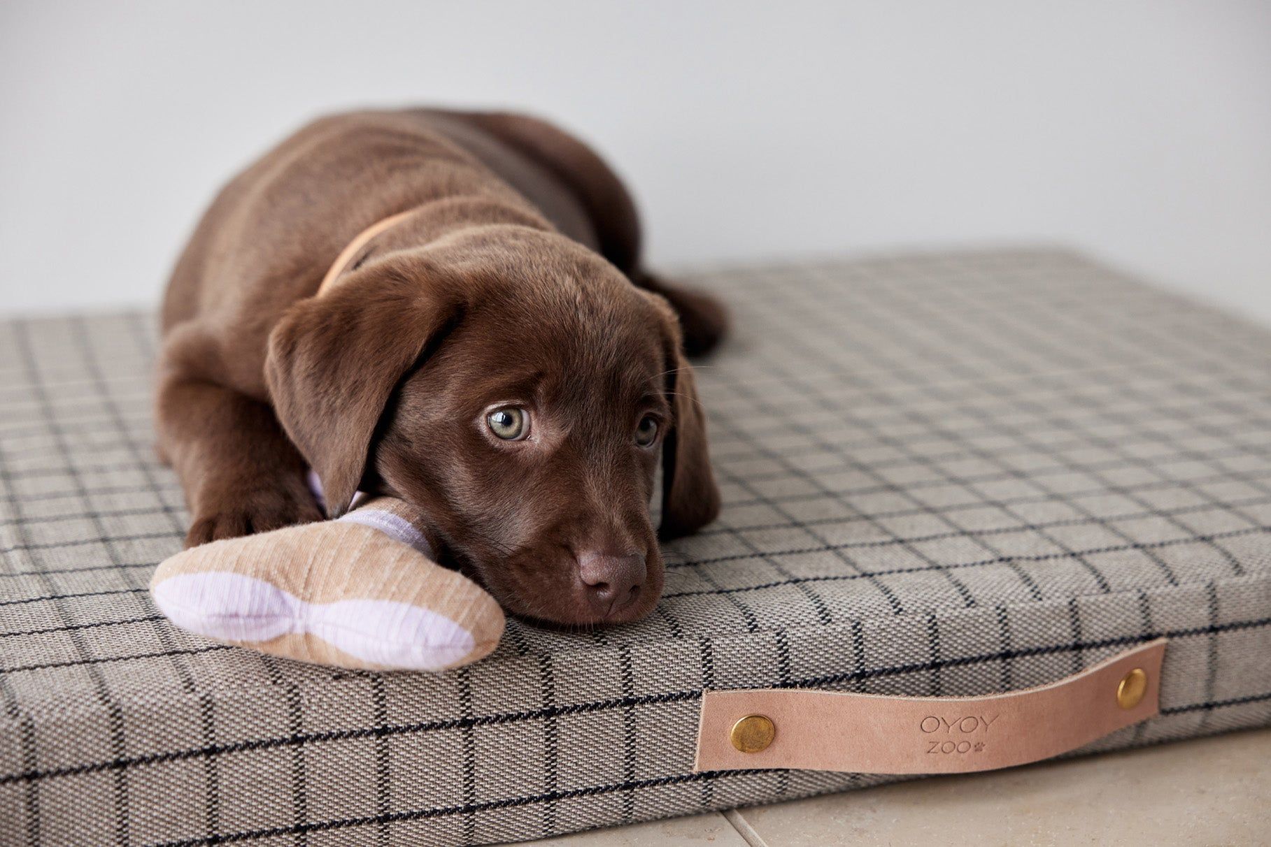 Ashi Hundespielzeug Polyester Recycelt Mehrfarbig