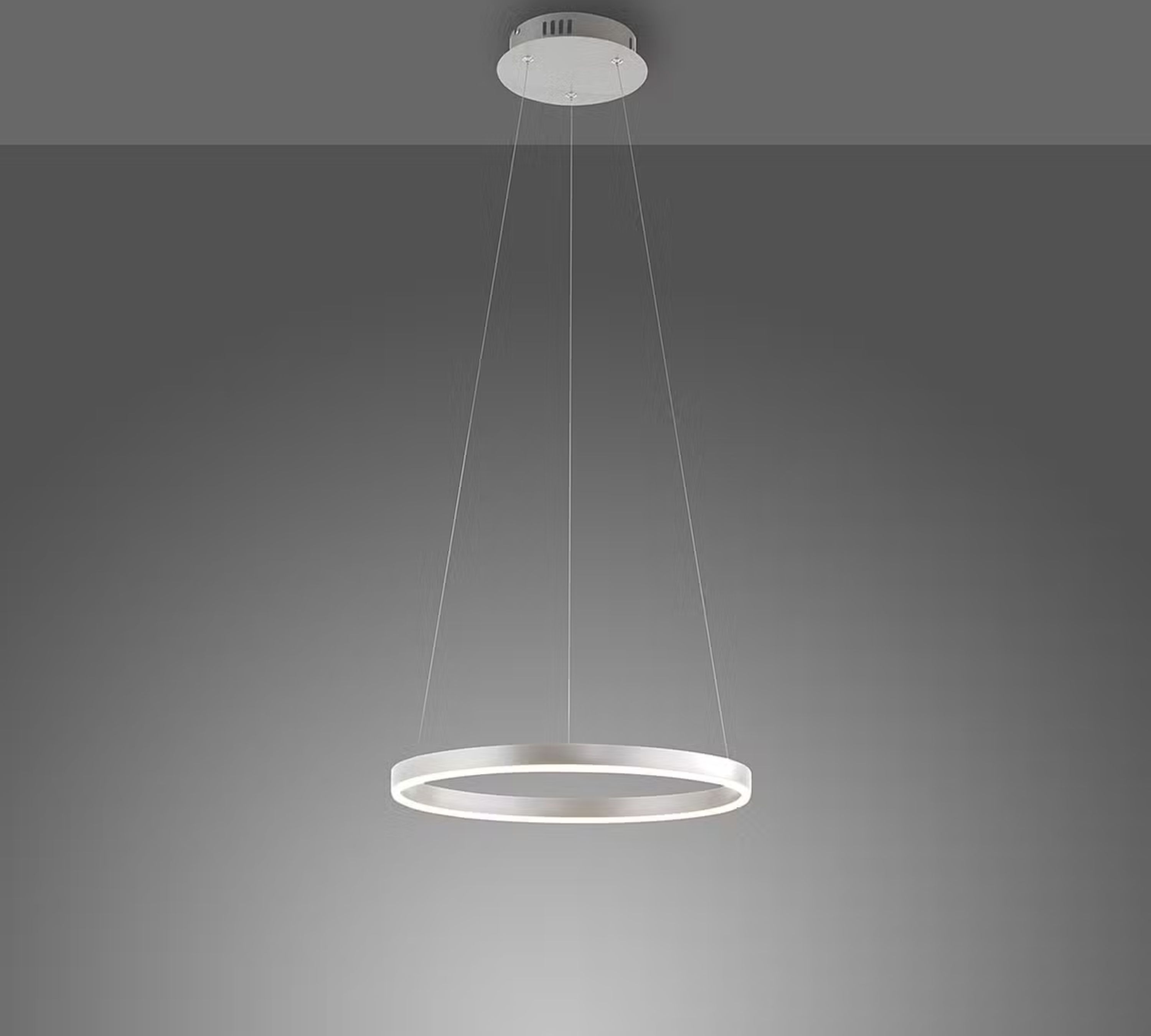 Pendant light 1-bulb Aluminum Silver