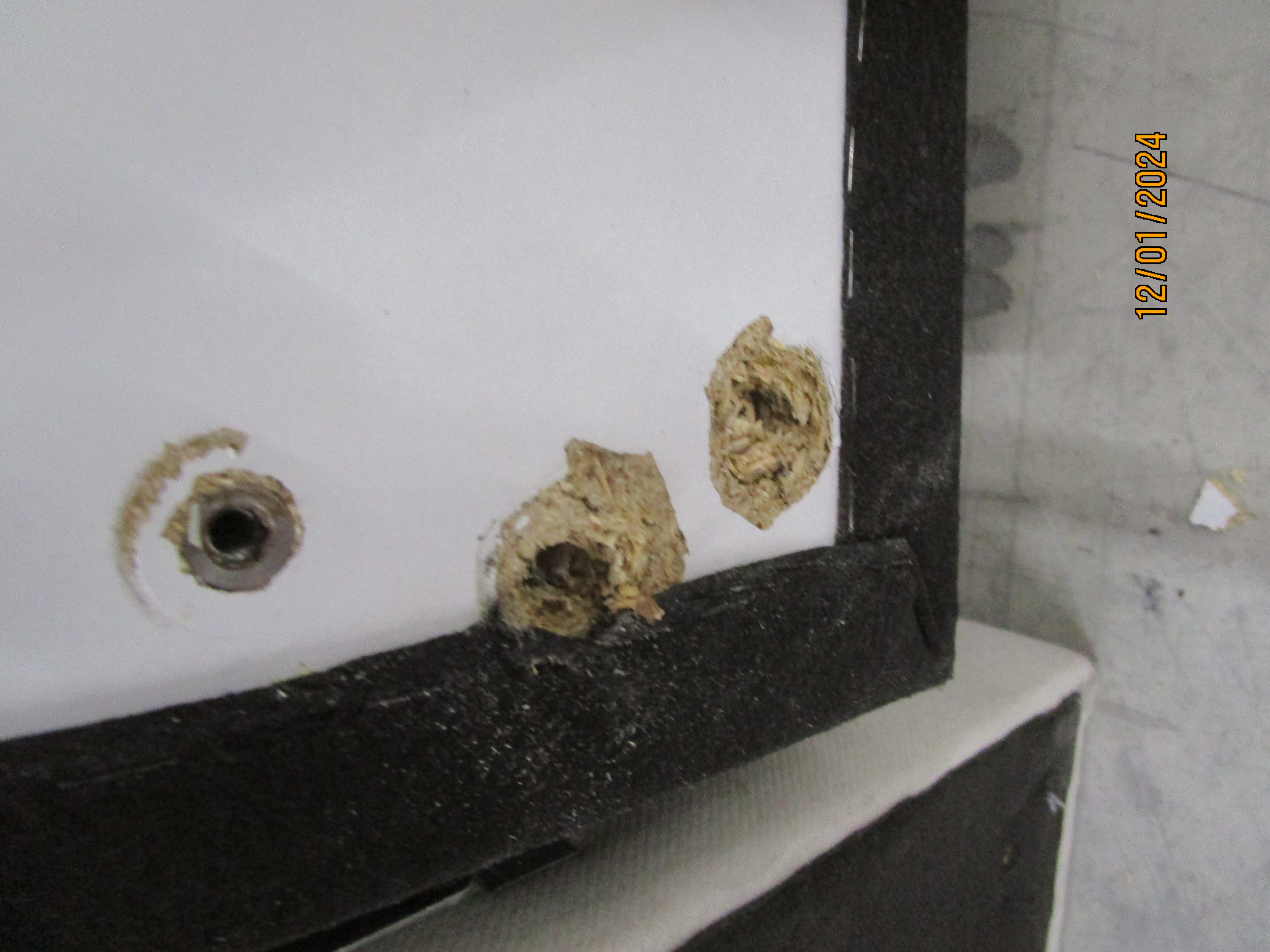 Tyme Schlafsofa Récamiere Links Vegane Wolle Cremebeige