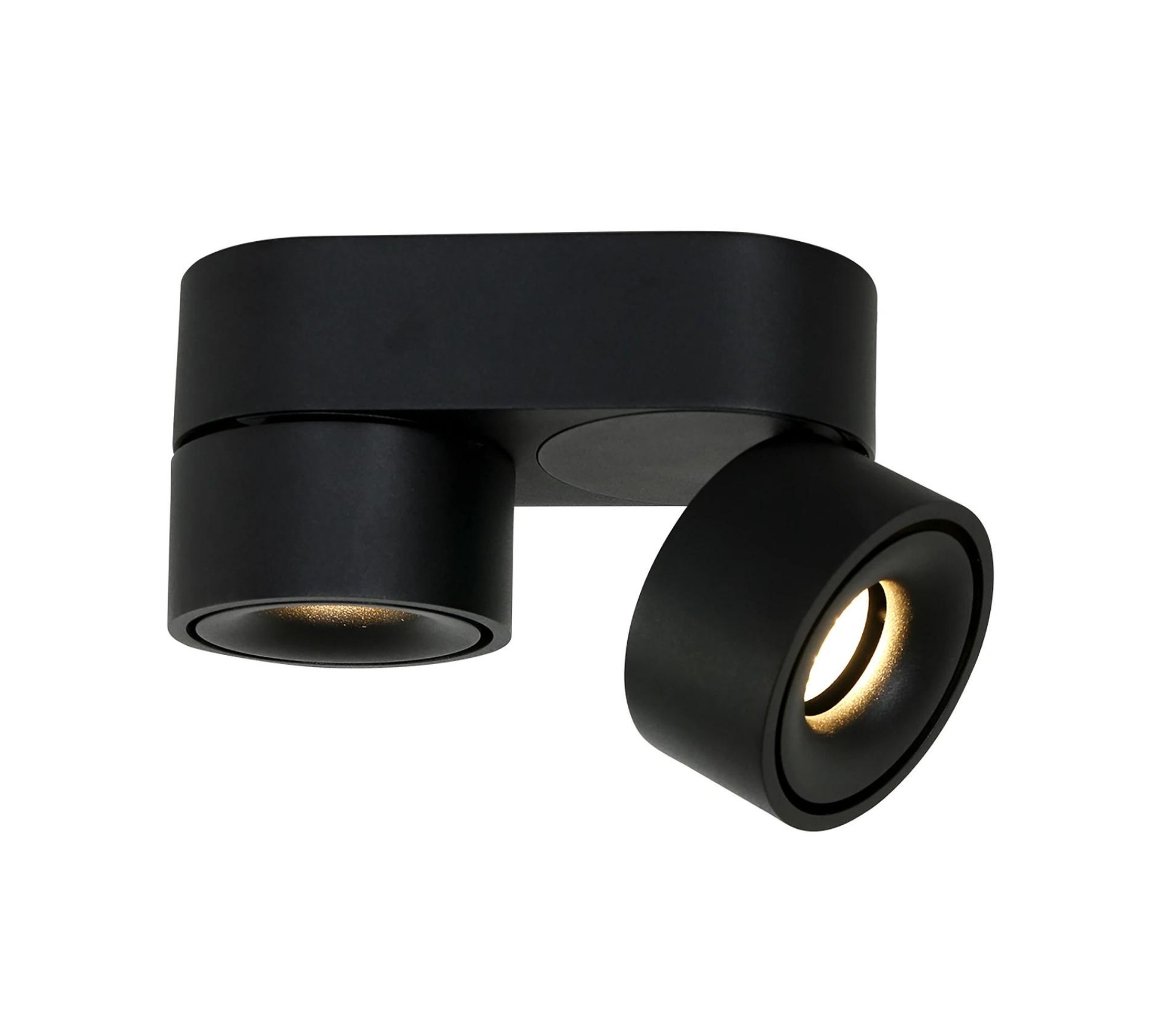 LED Ceiling Light 2-light Iron Black