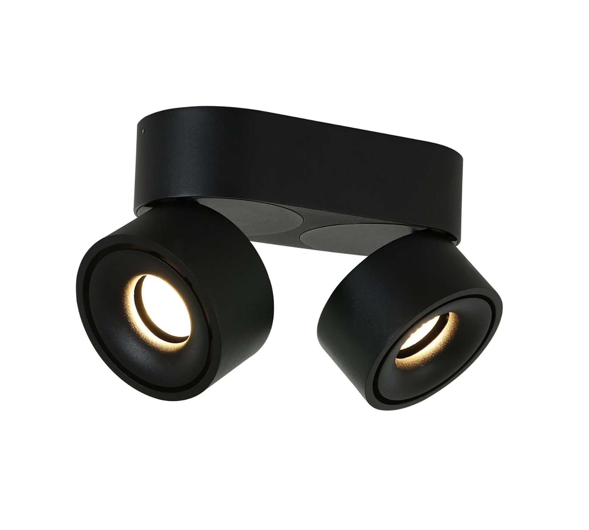 LED Deckenleuchte 2-flammig Eisen Schwarz