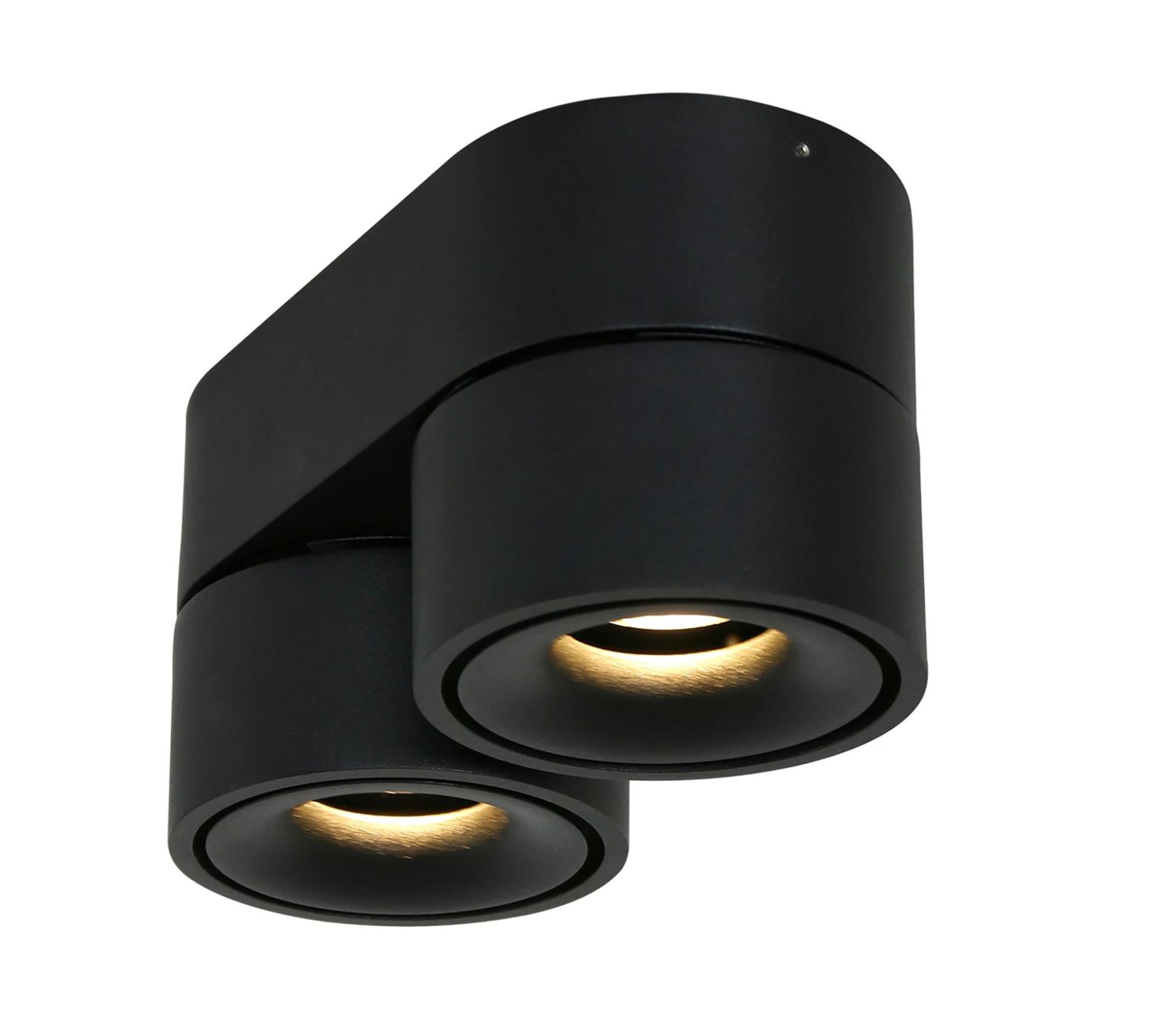 LED Deckenleuchte 2-flammig Eisen Schwarz