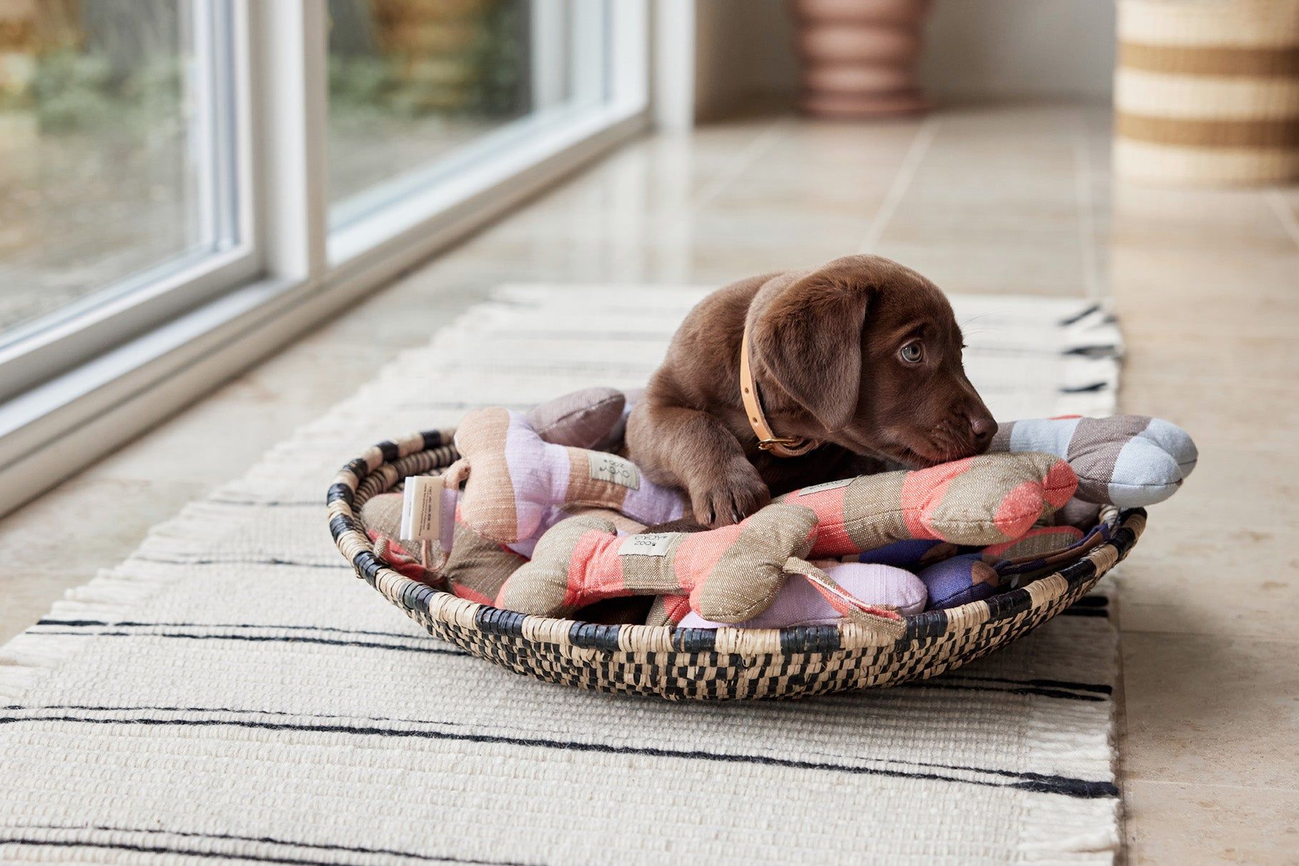 Ashi Hundespielzeug Polyester Recycelt Mehrfarbig