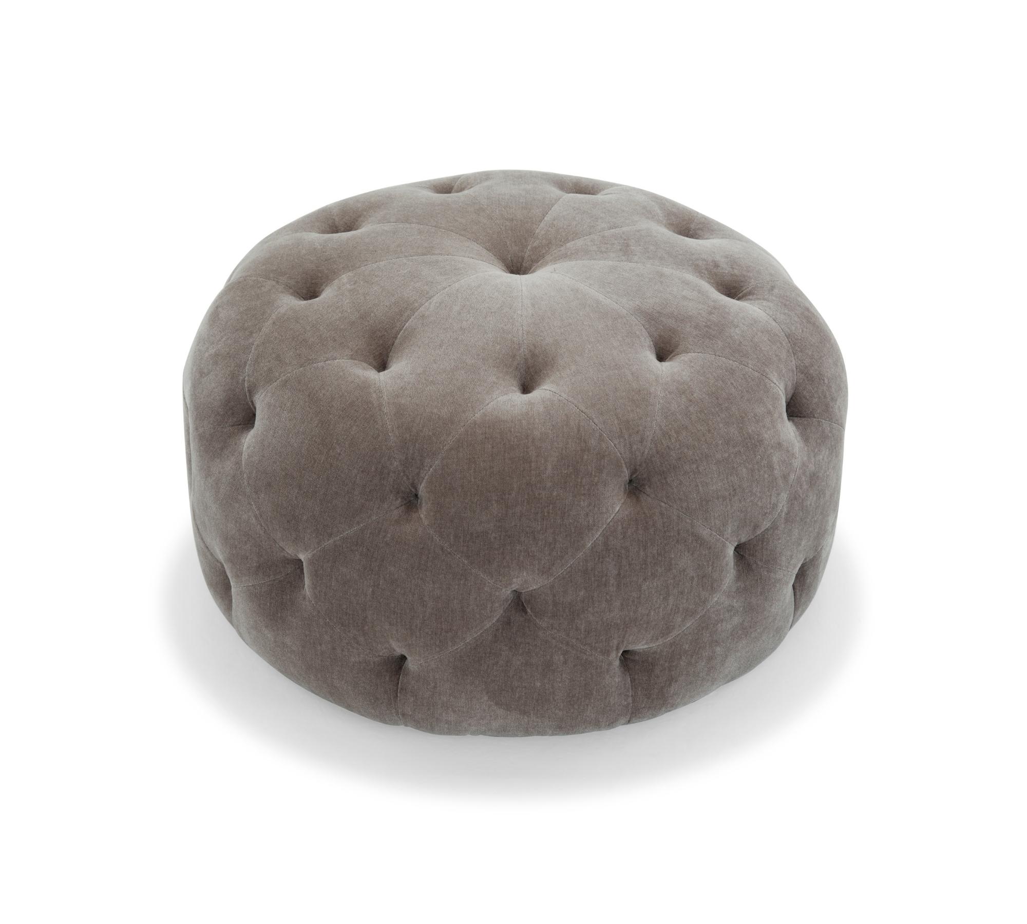 Abby Hocker Moss Shitake