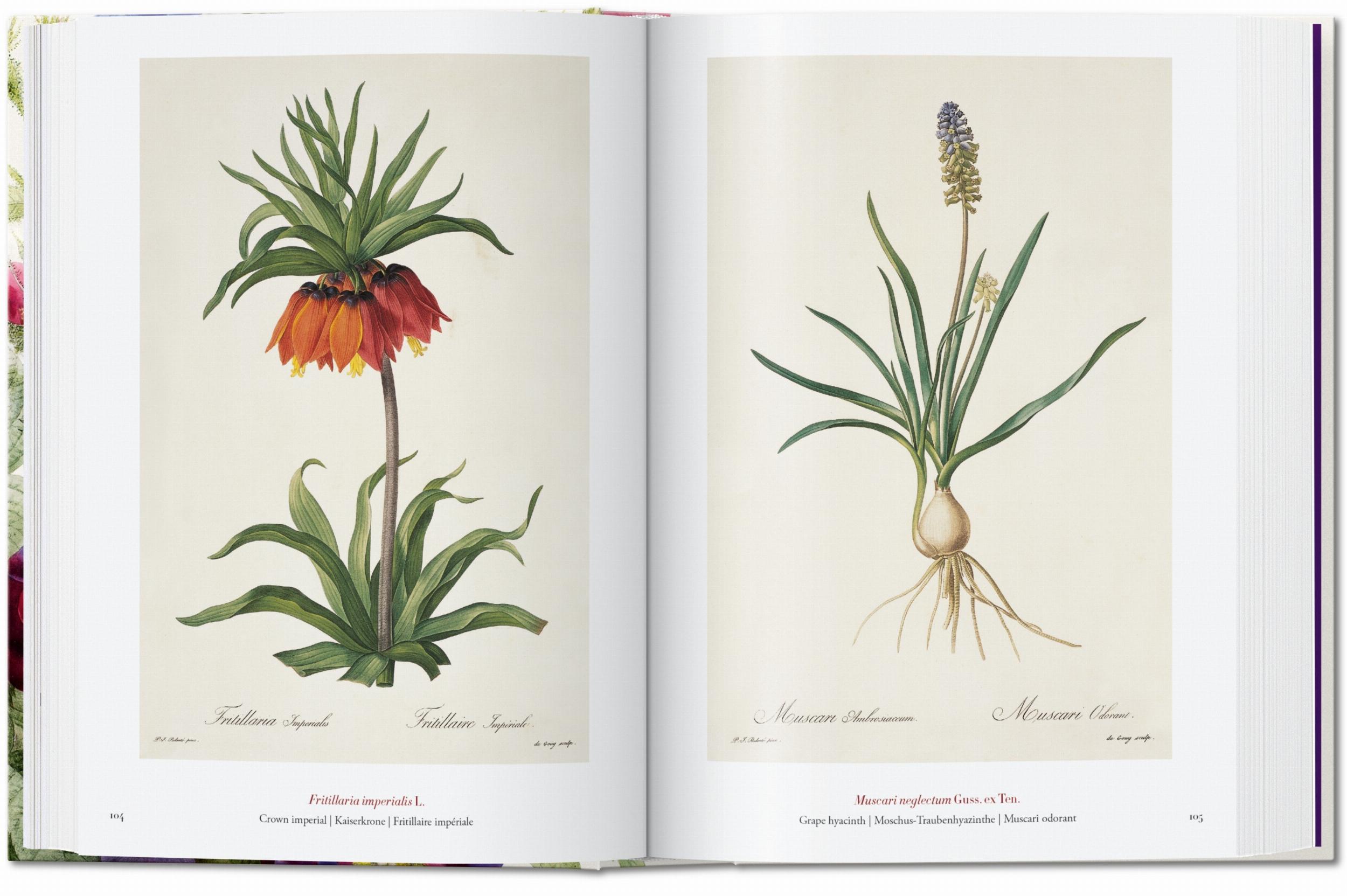Redouté. The Book of Flowers. 45th Ed.