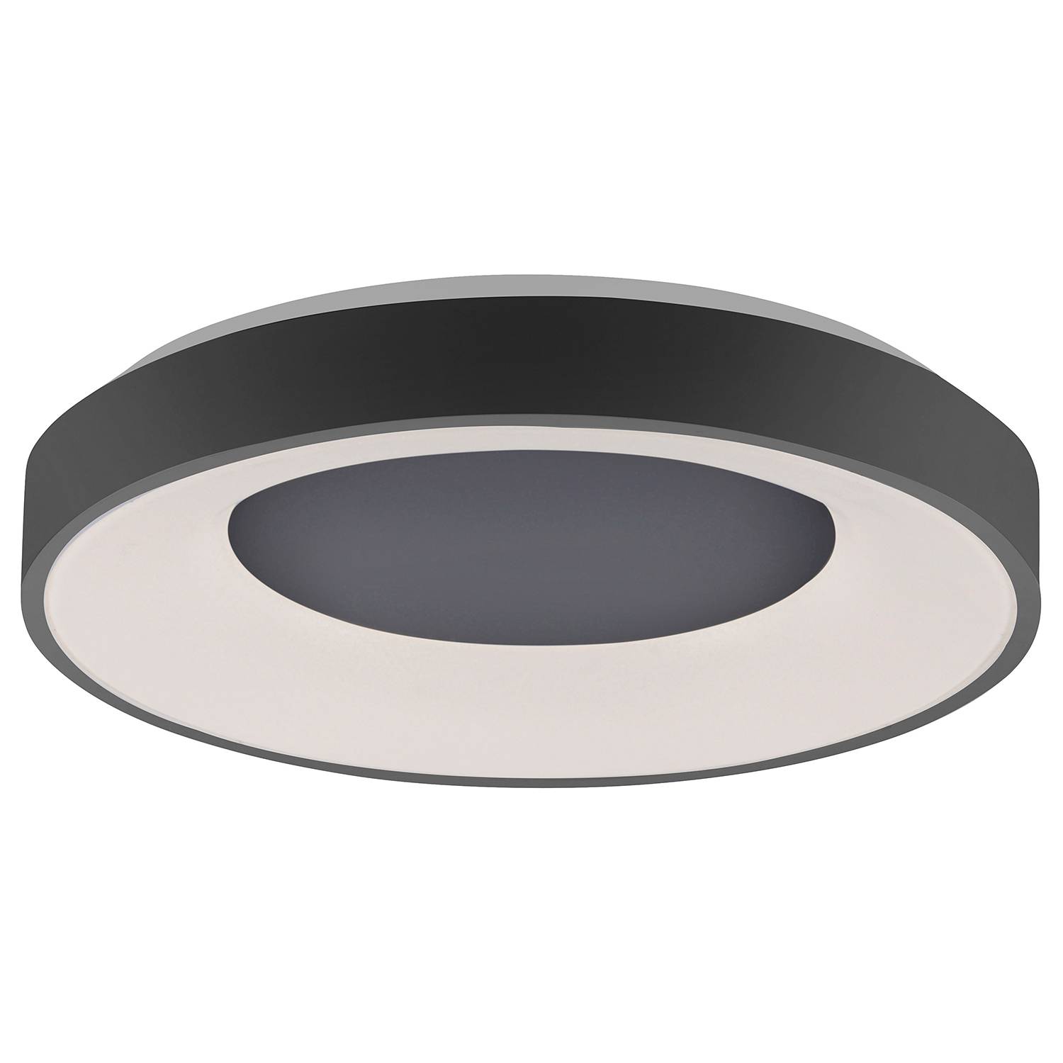 1-Flammig LED-Deckenleuchte Anika Schwarz