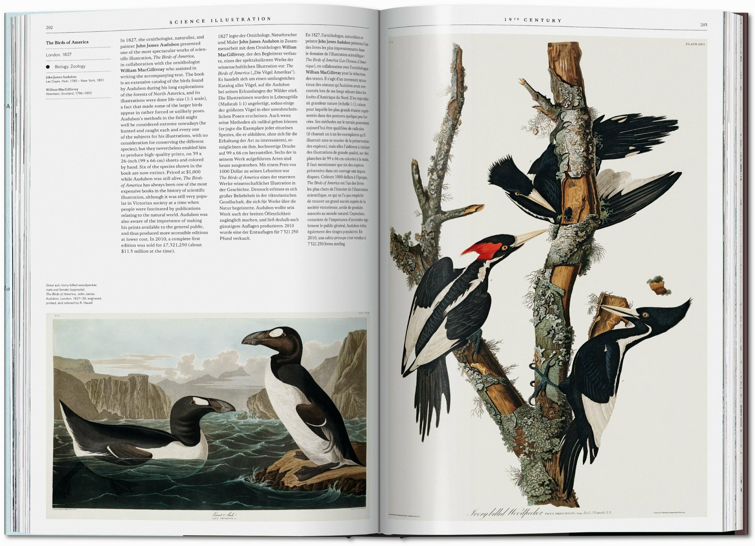 A History of Visual Knowledge from the 15th Century to Today