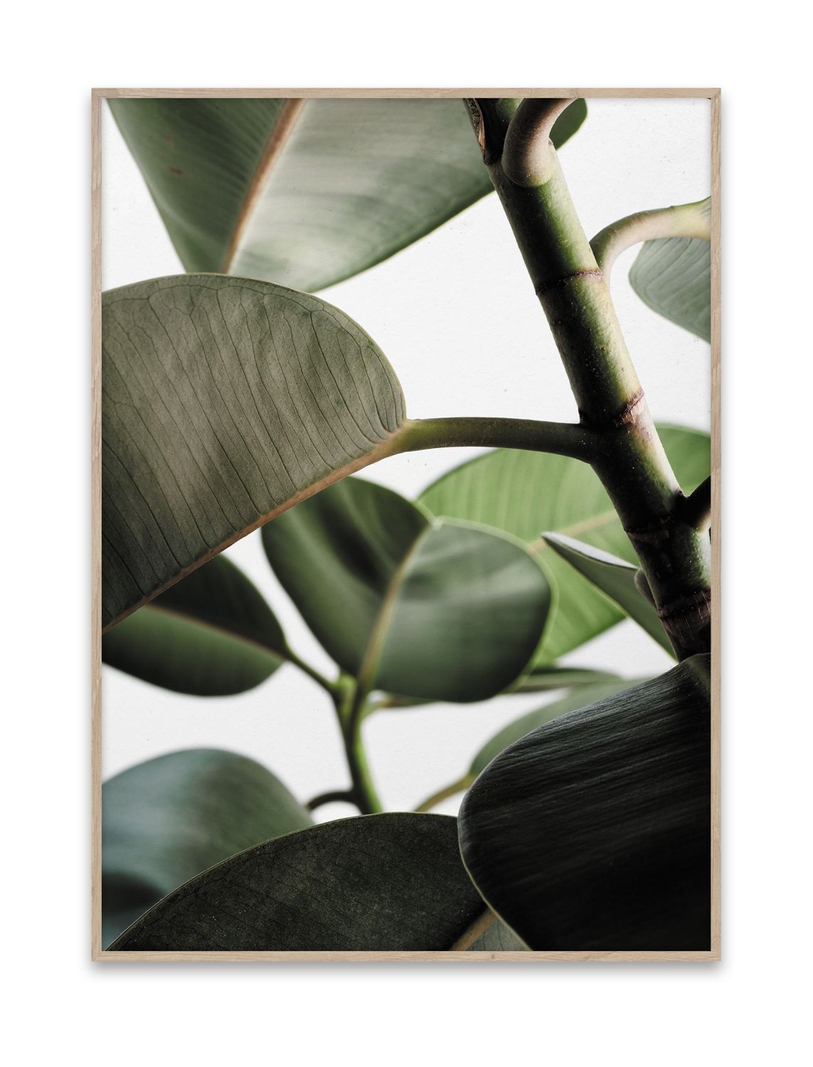 Green Home Poster Green