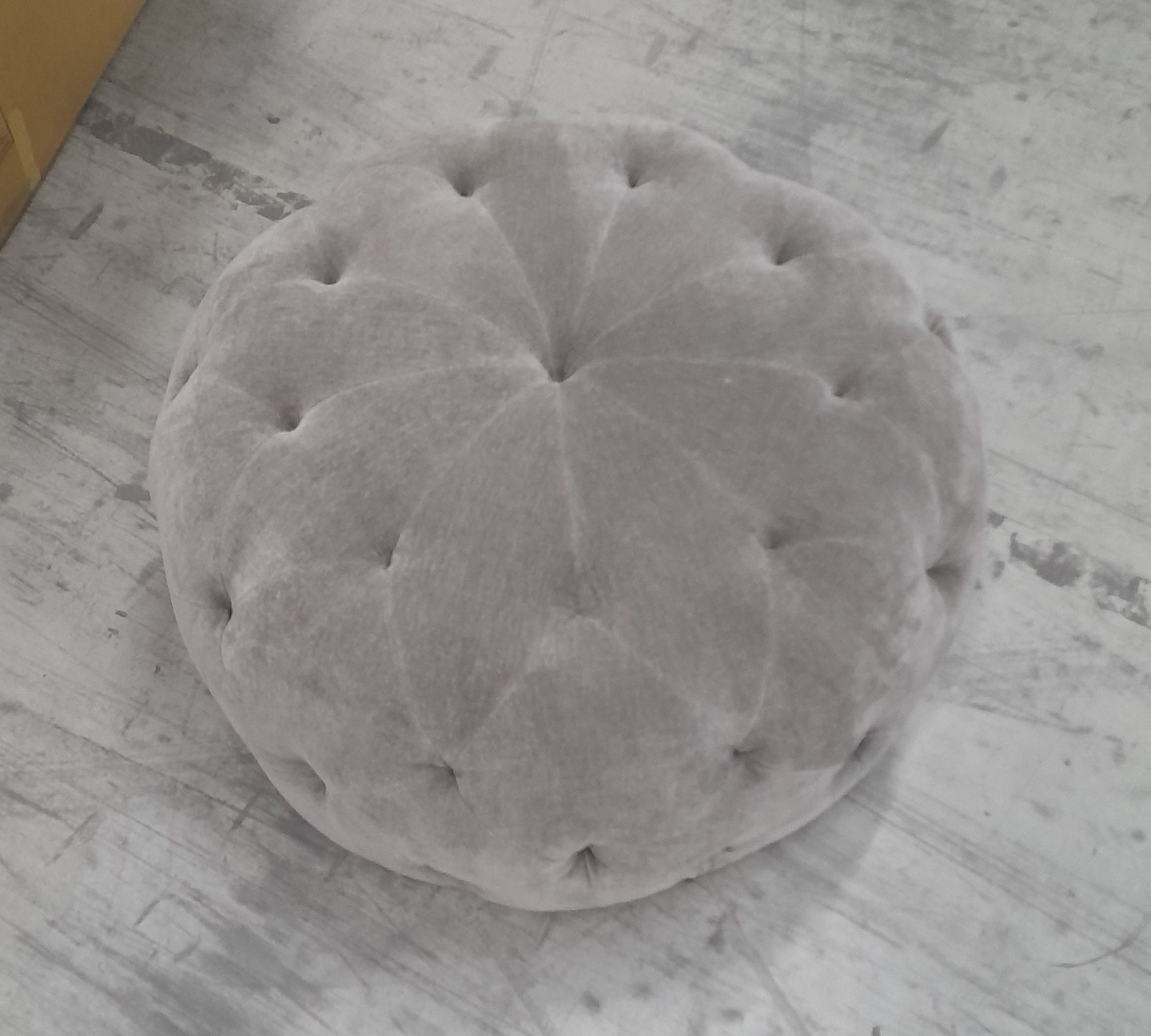 Abby Hocker Moss Shitake