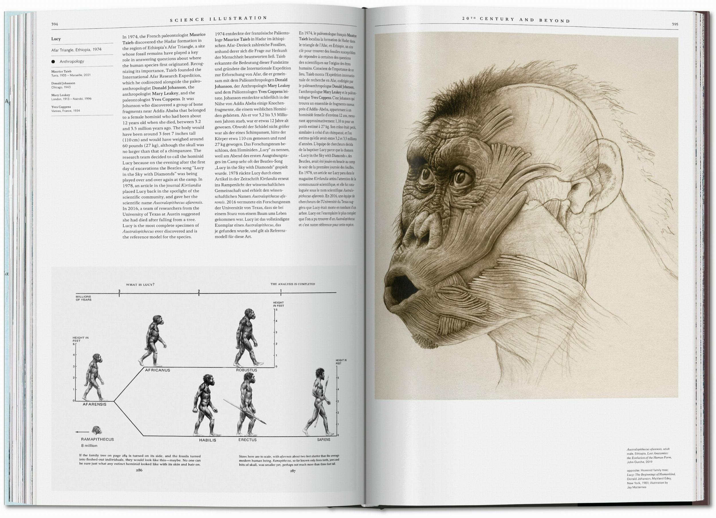 A History of Visual Knowledge from the 15th Century to Today
