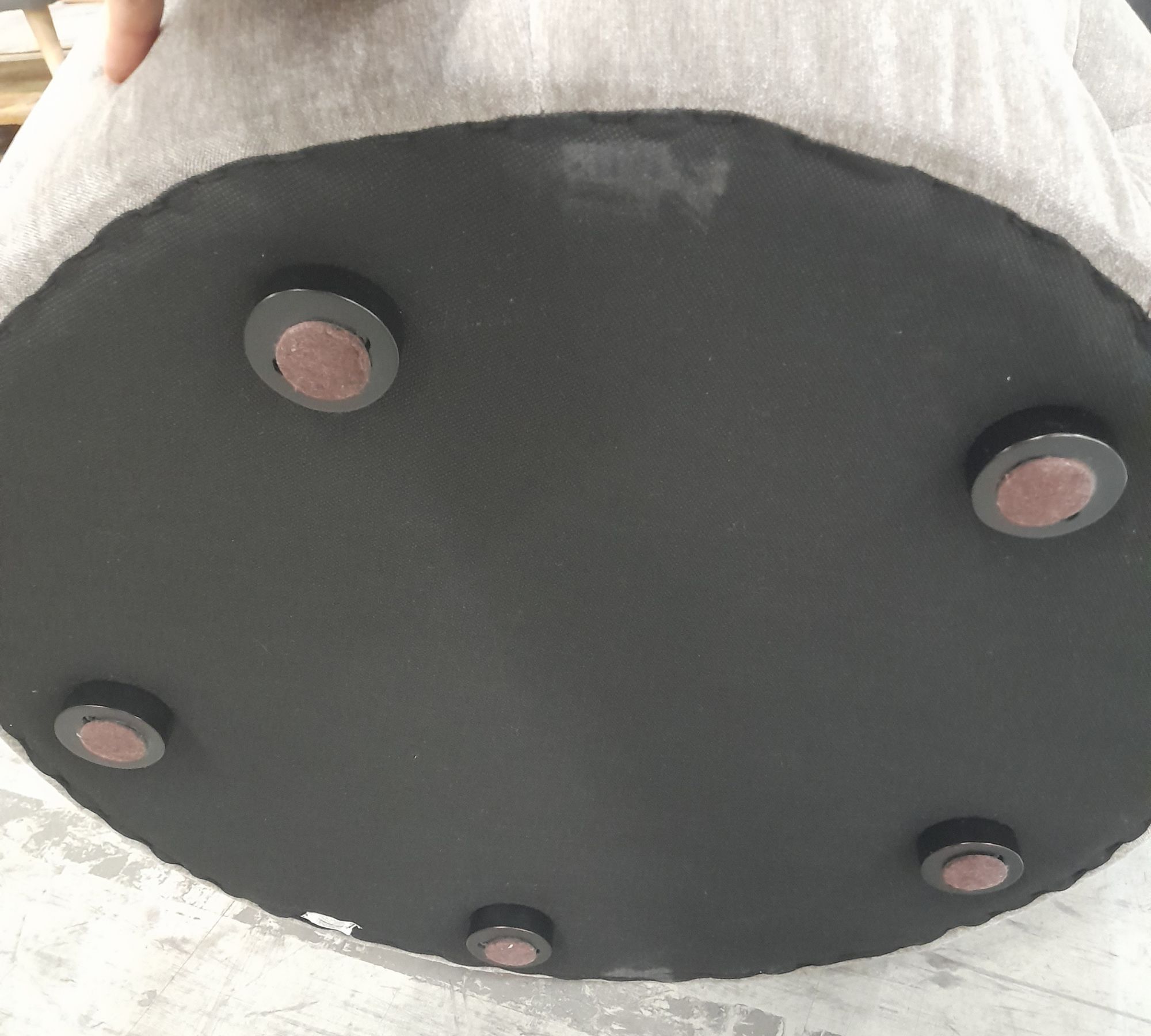 Abby Hocker Moss Shitake