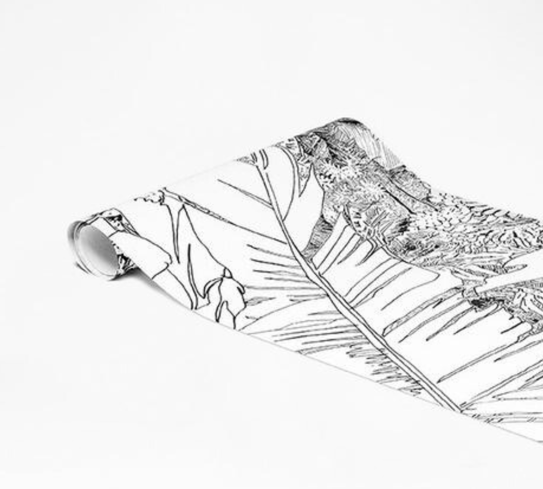 2x Jungle Wallpaper Black White