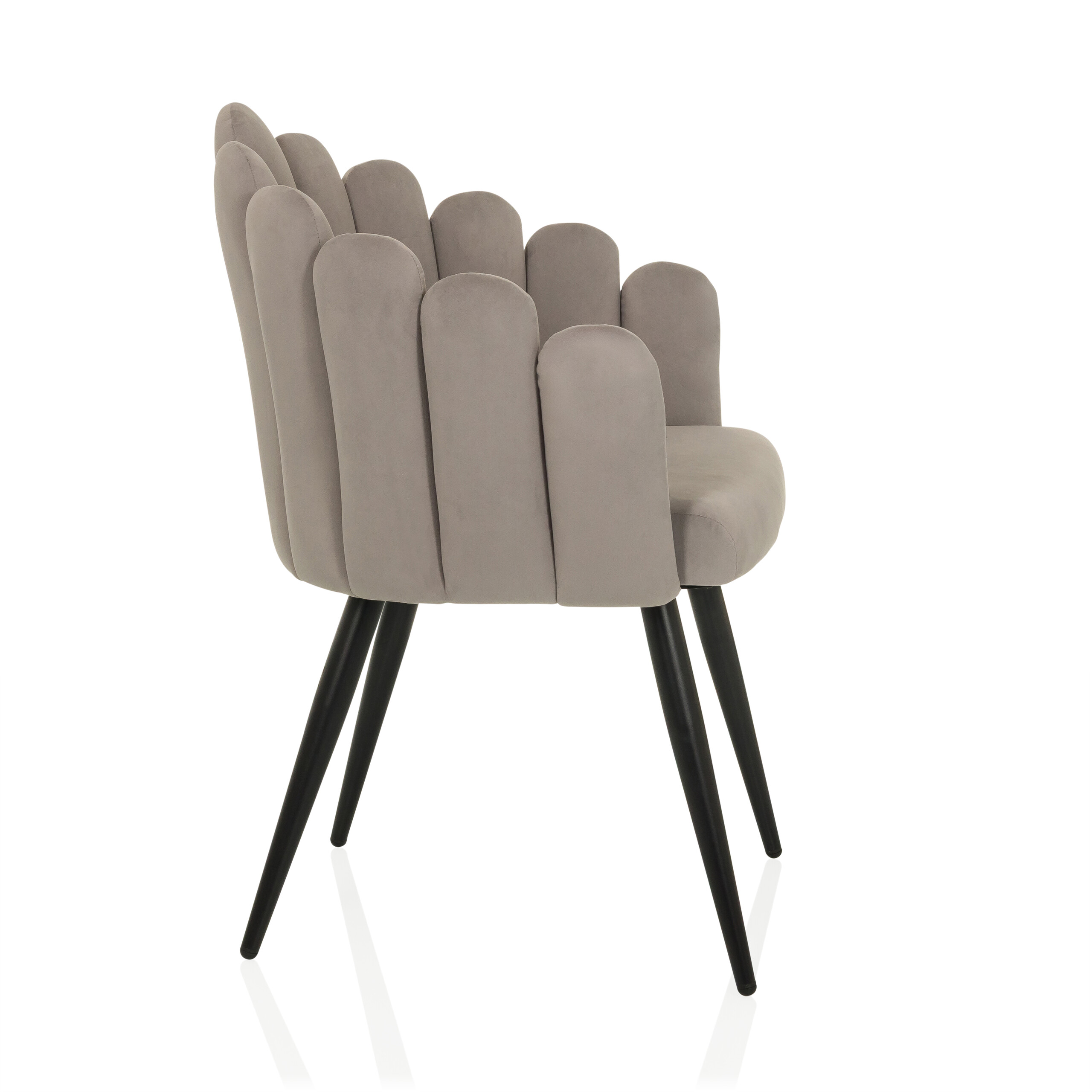 SCALLORE Dining chair in shell shape velvet grey