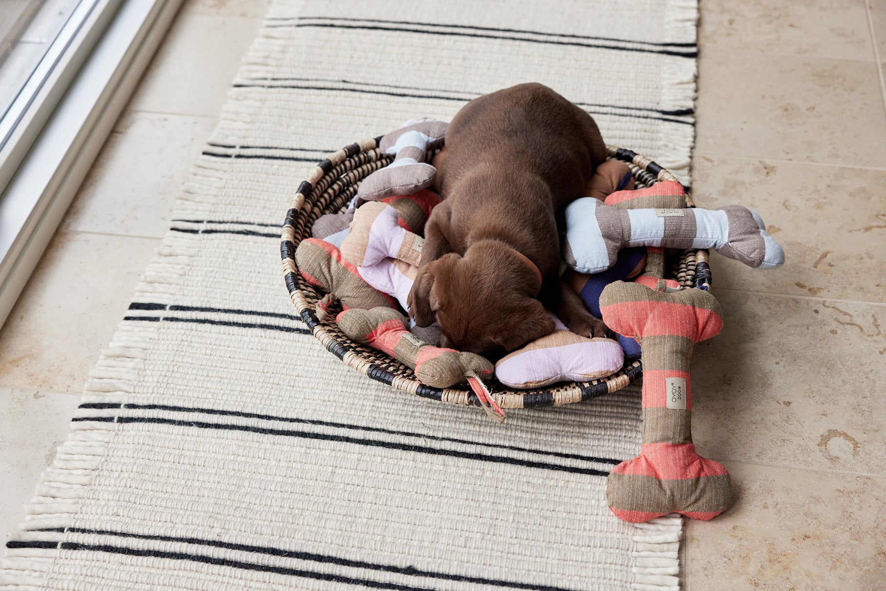 Ashi Hundespielzeug Groß Textil Blau